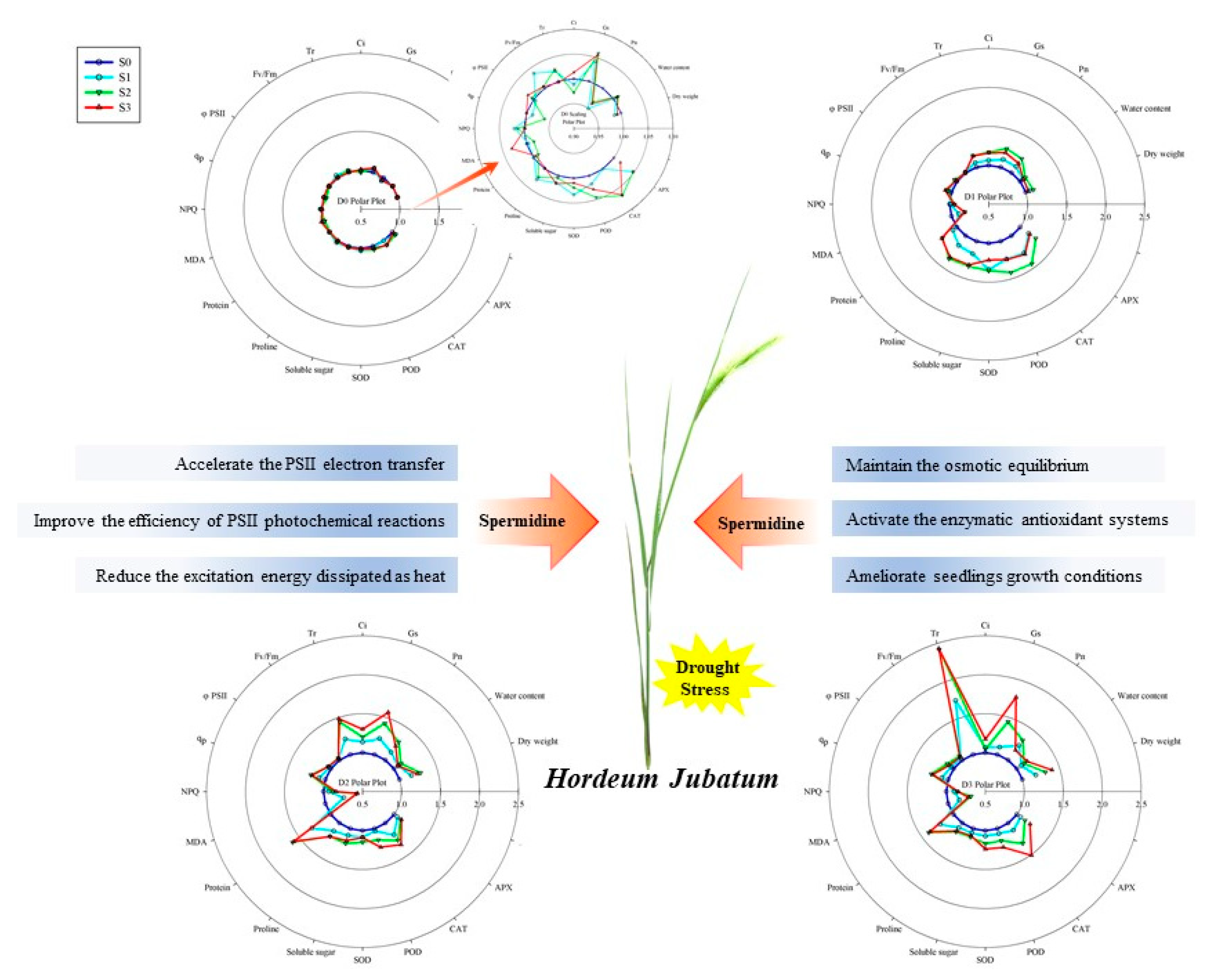 Agronomy 12 01180 g006 550