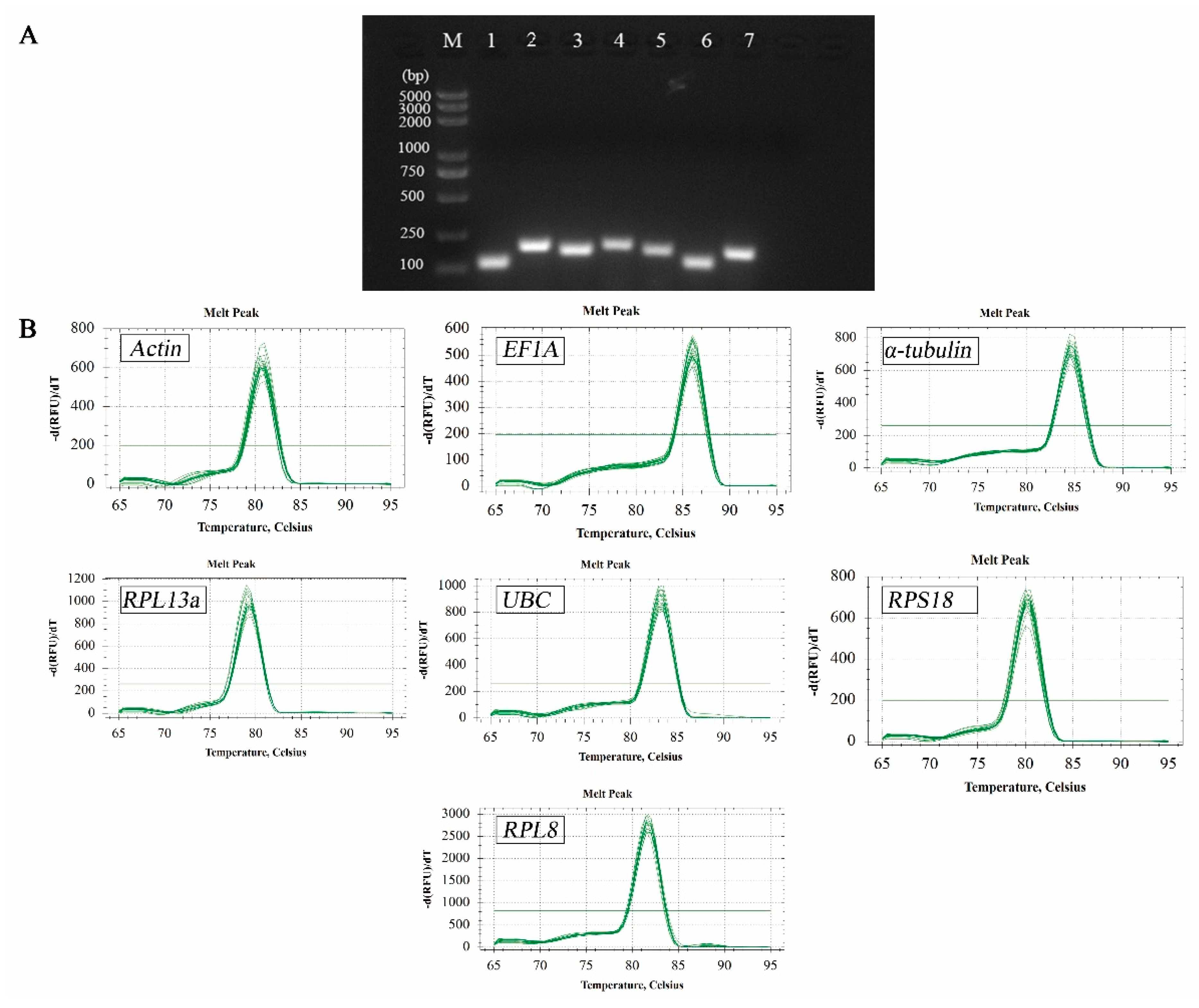 Agronomy 12 01192 g001 550