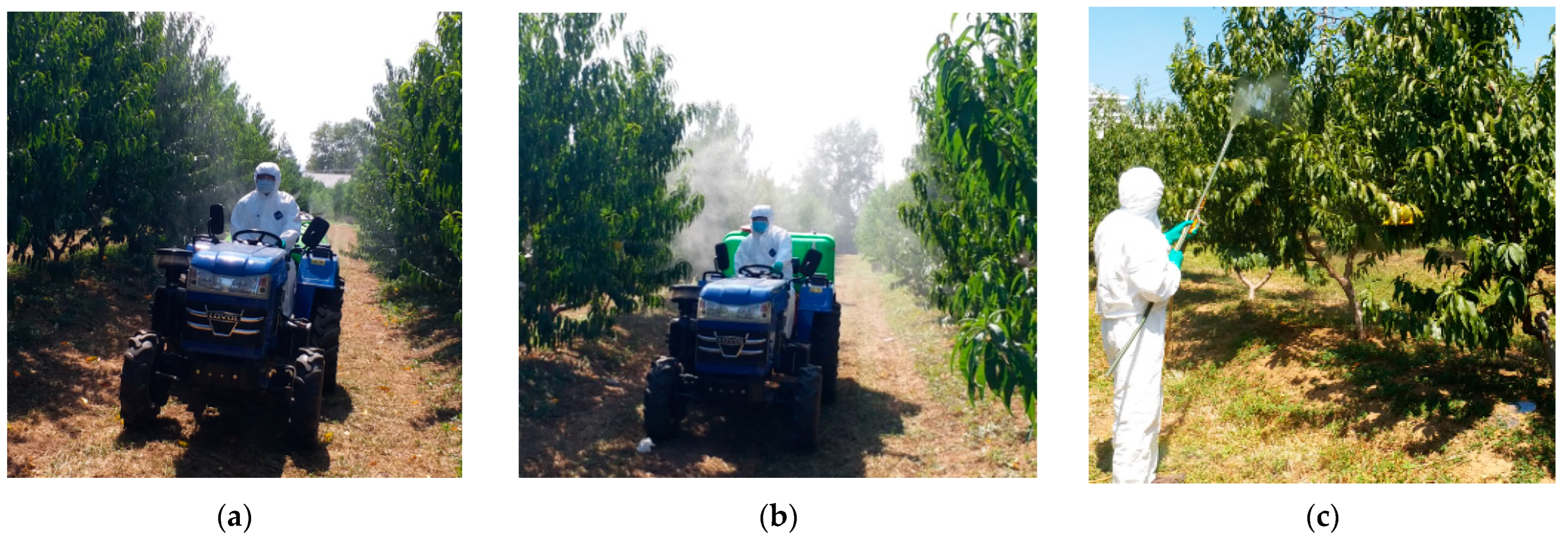 Agronomy 12 01195 g002