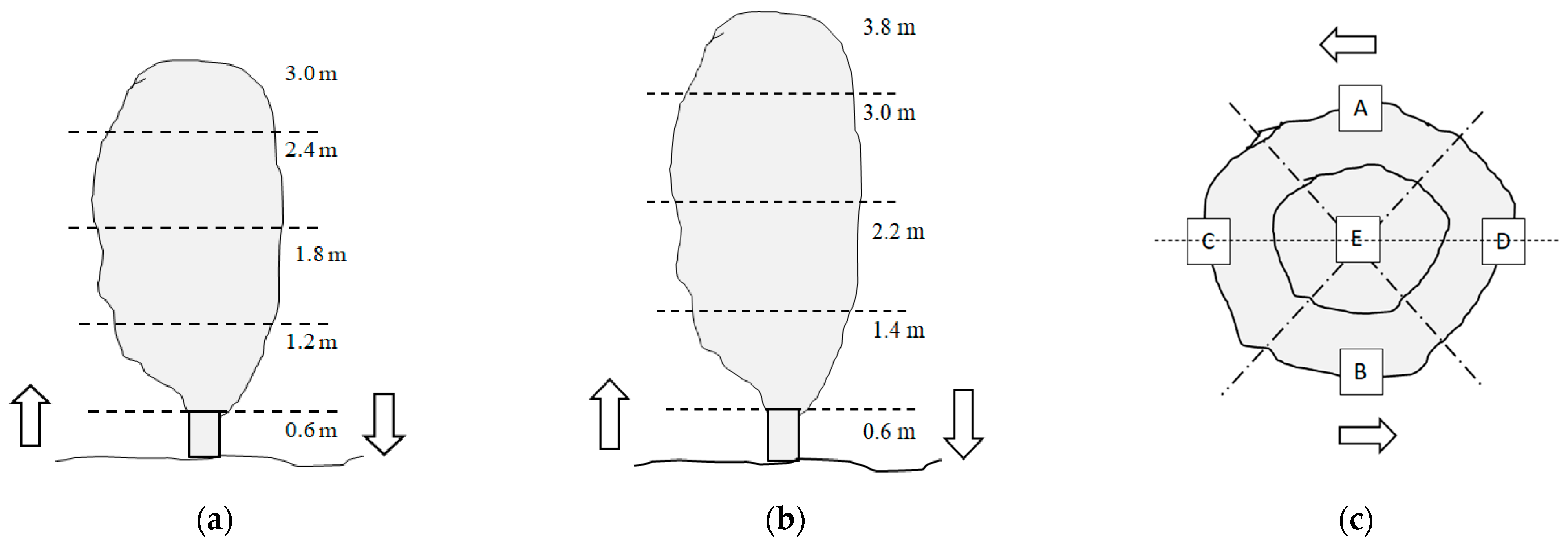 Agronomy 12 01195 g003