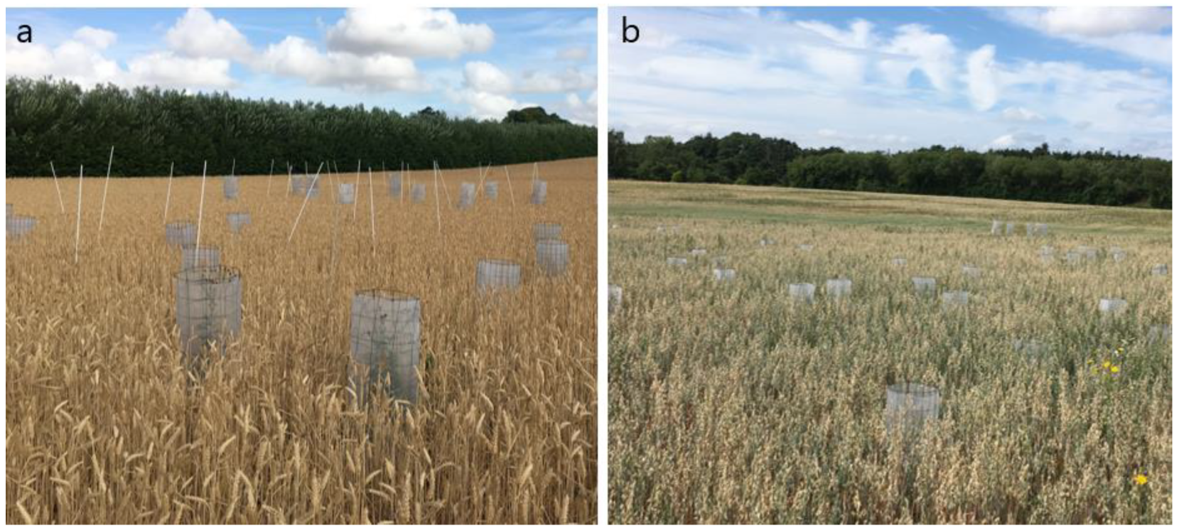 Agronomy 12 01196 g001