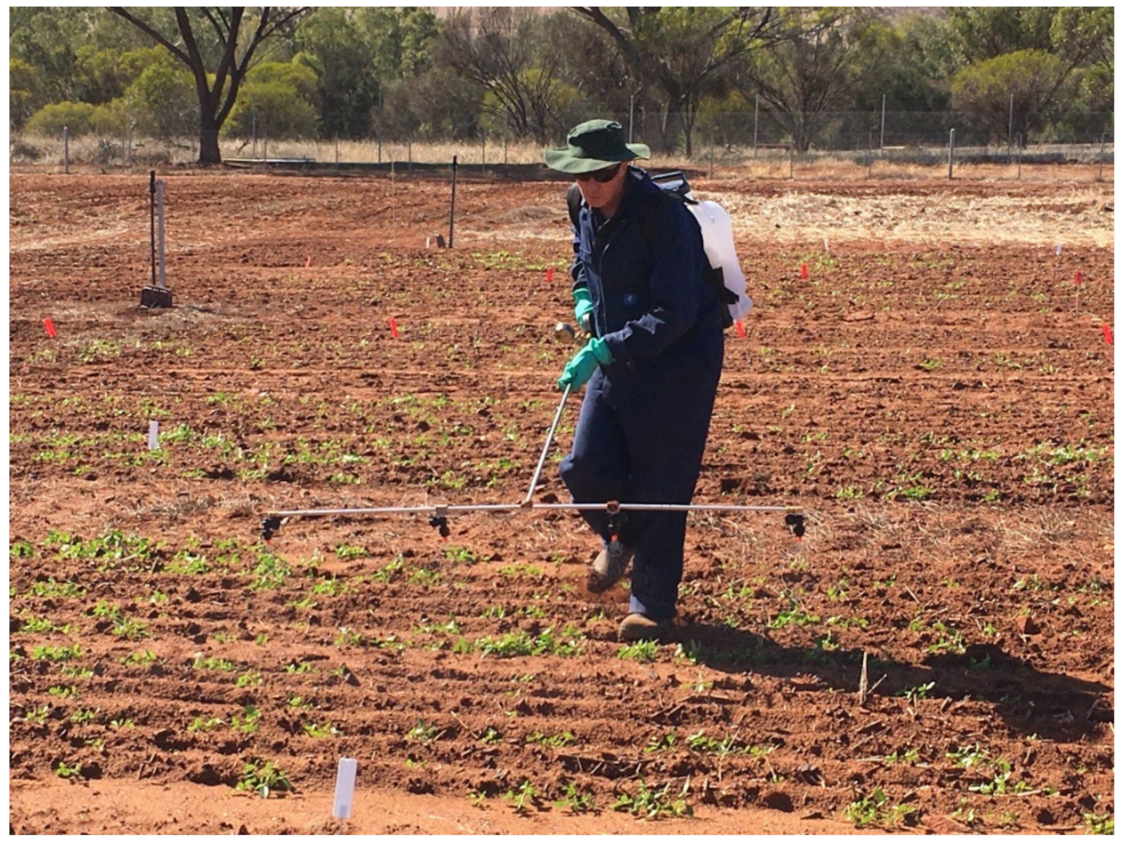 Agronomy 12 01198 g002 Agronomy 12 01198 g002