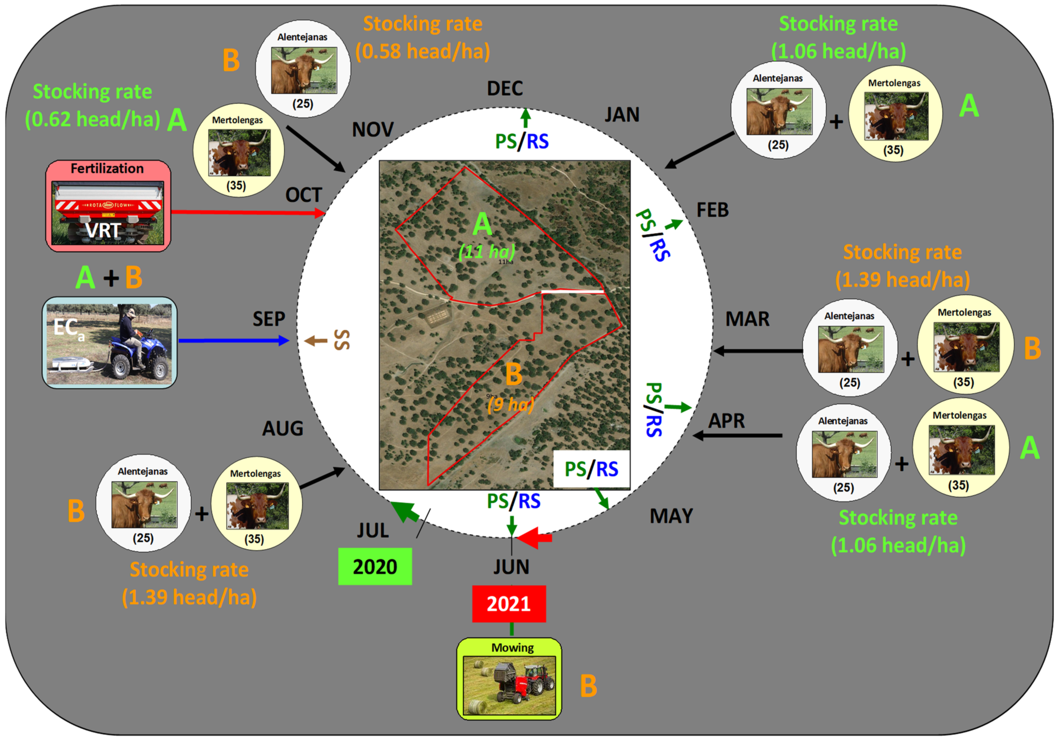 Agronomy 12 01212 g004 550