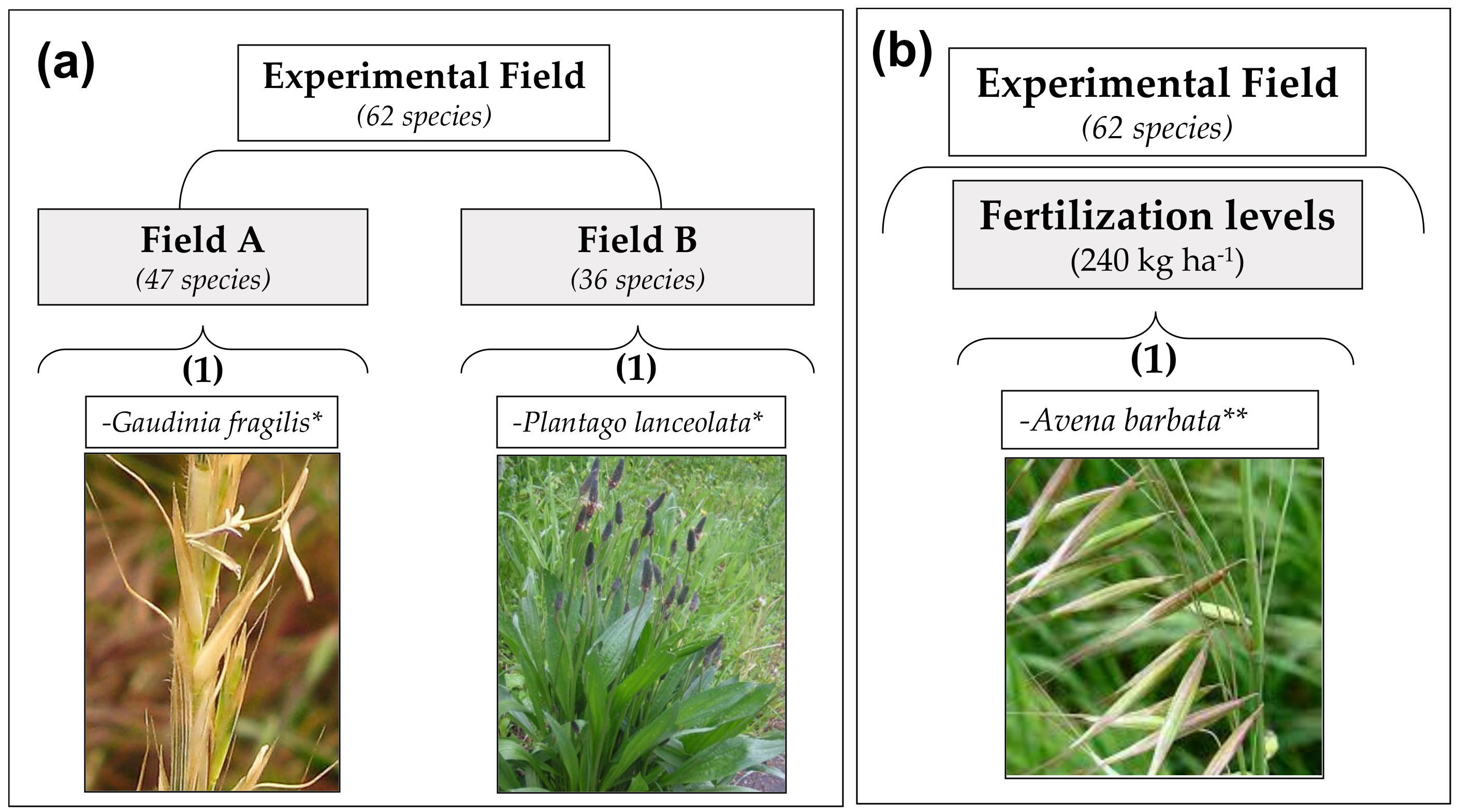 Agronomy 12 01212 g013 550