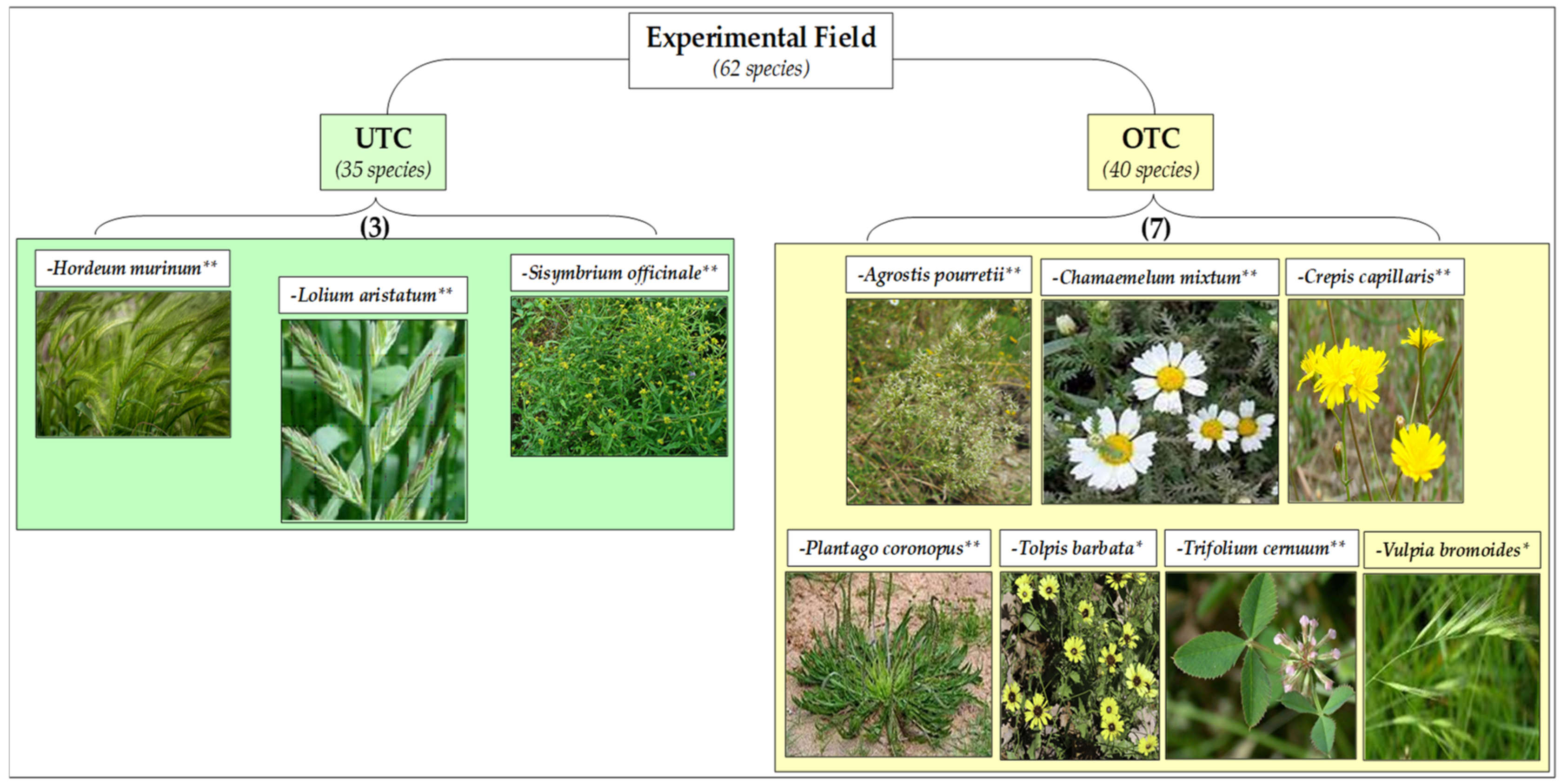 Agronomy 12 01212 g014 550
