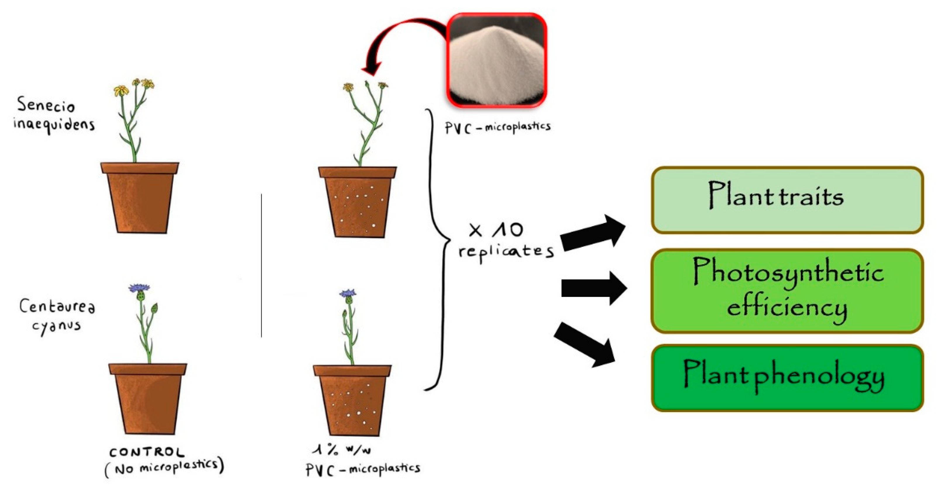 Agronomy 12 01219 g001
