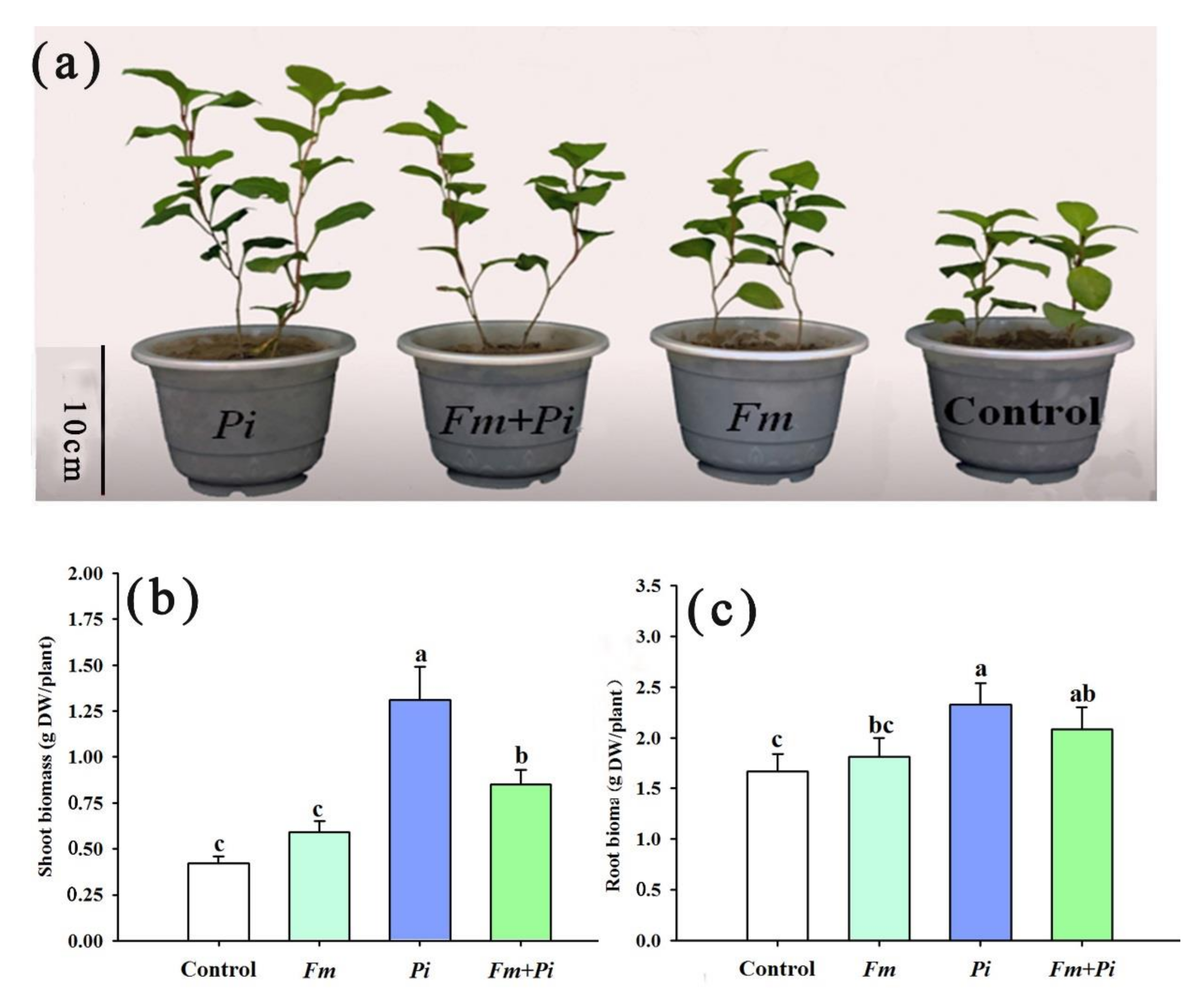 Agronomy 12 01220 g001