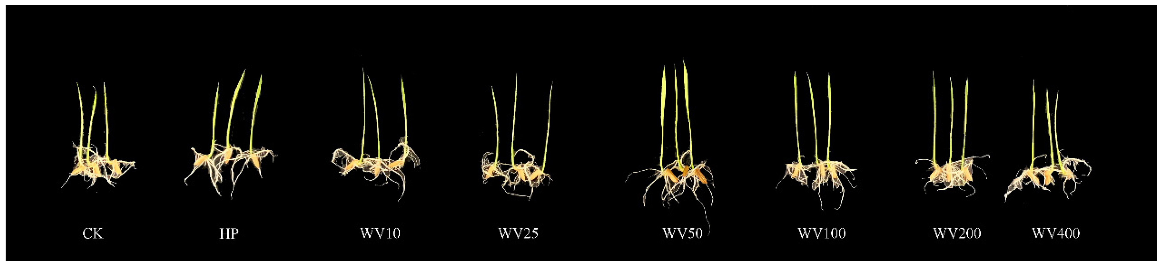Agronomy 12 01223 g001