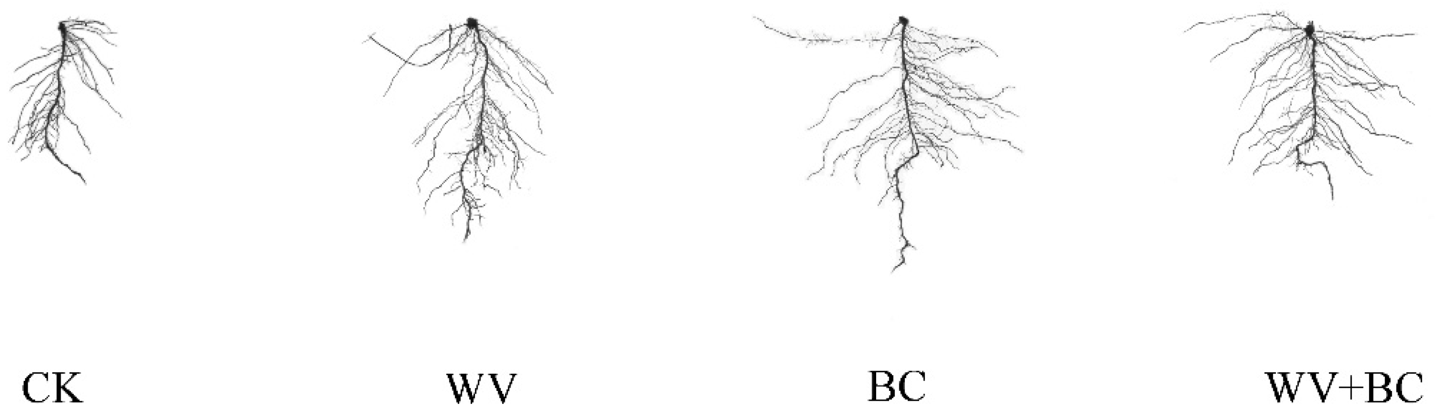 Agronomy 12 01223 g005