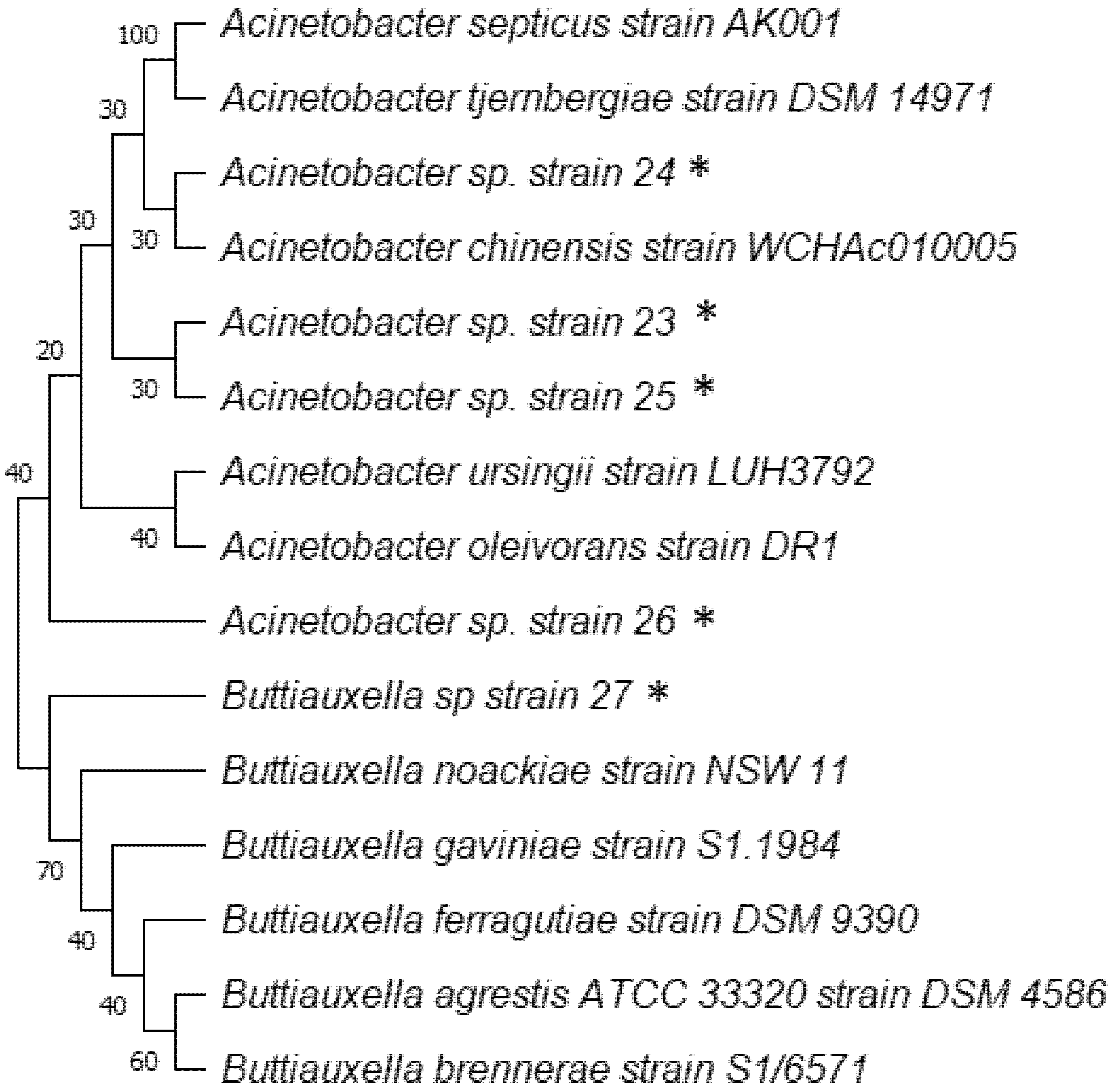 Agronomy 12 01226 g003