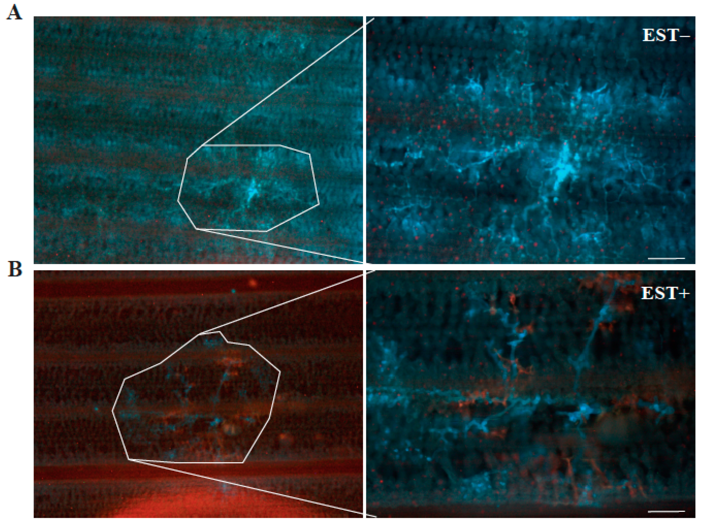 Agronomy 12 01239 g005 Agronomy 12 01239 g005