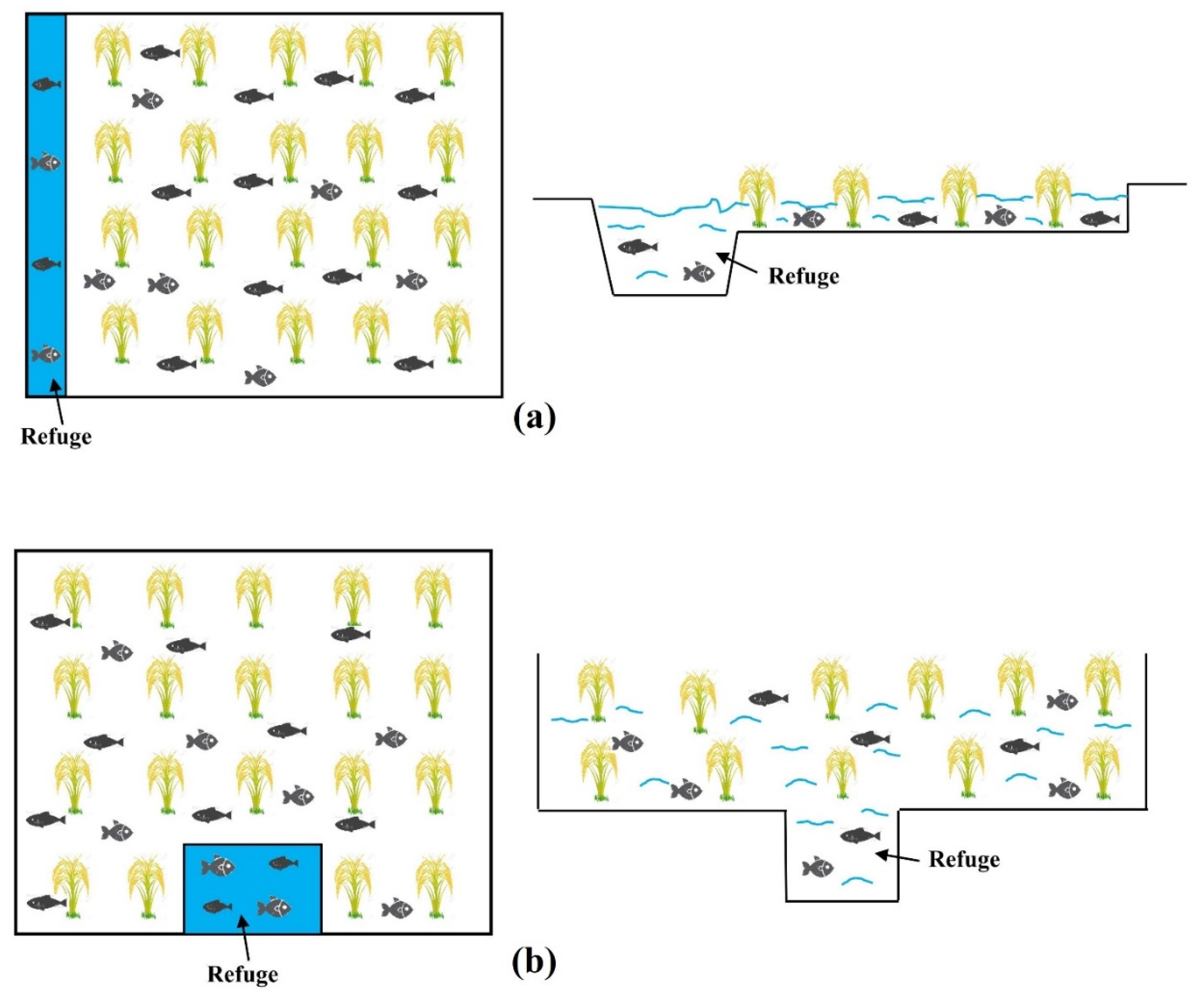 Agronomy 12 01241 g001