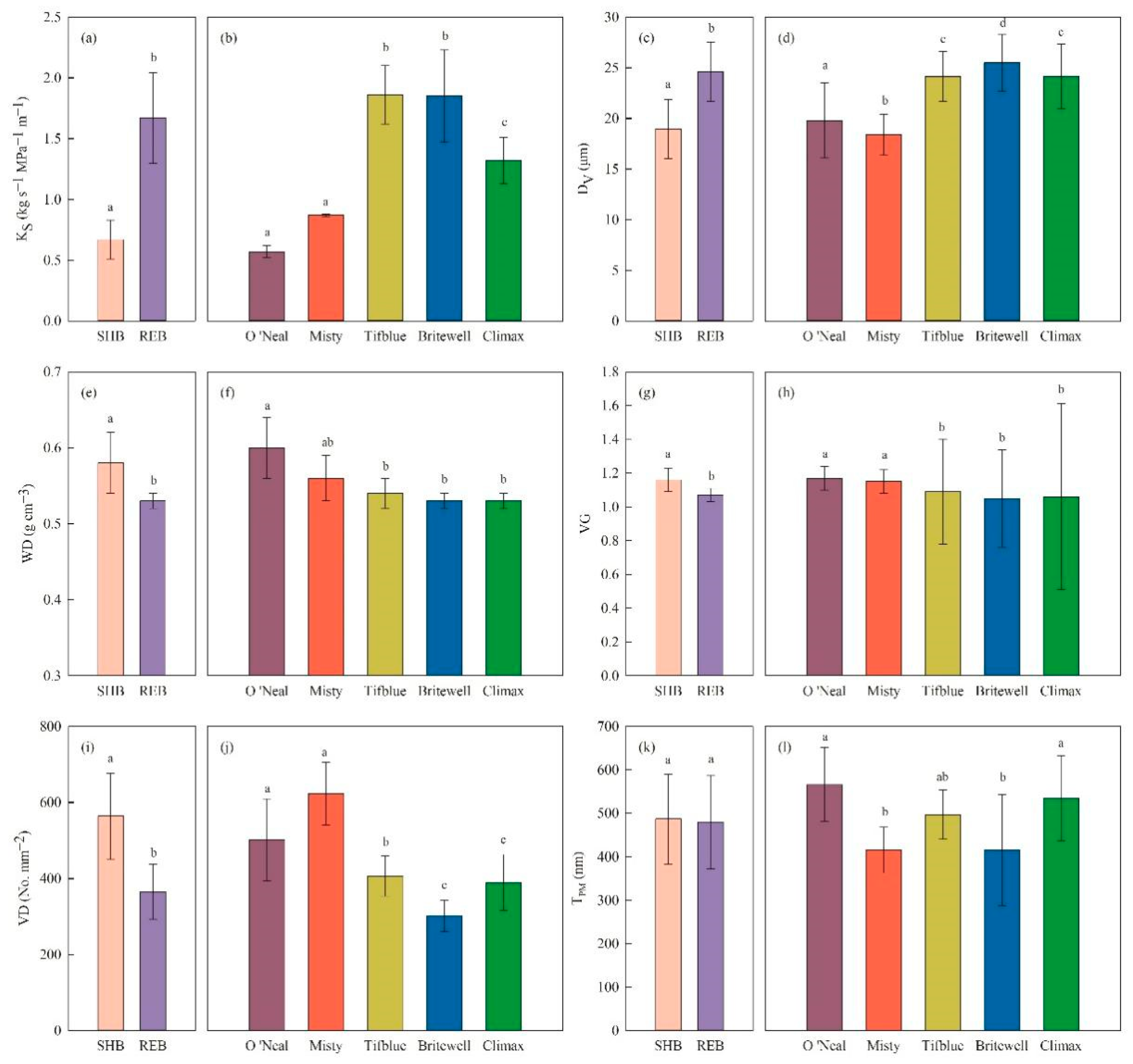 Agronomy 12 01244 g002