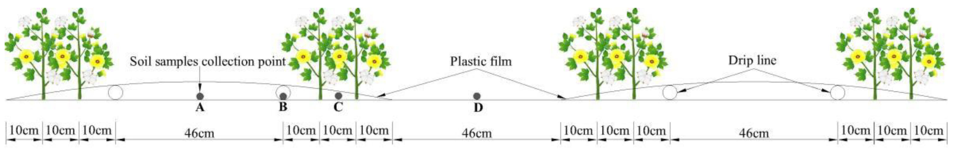 Agronomy 12 01246 g003