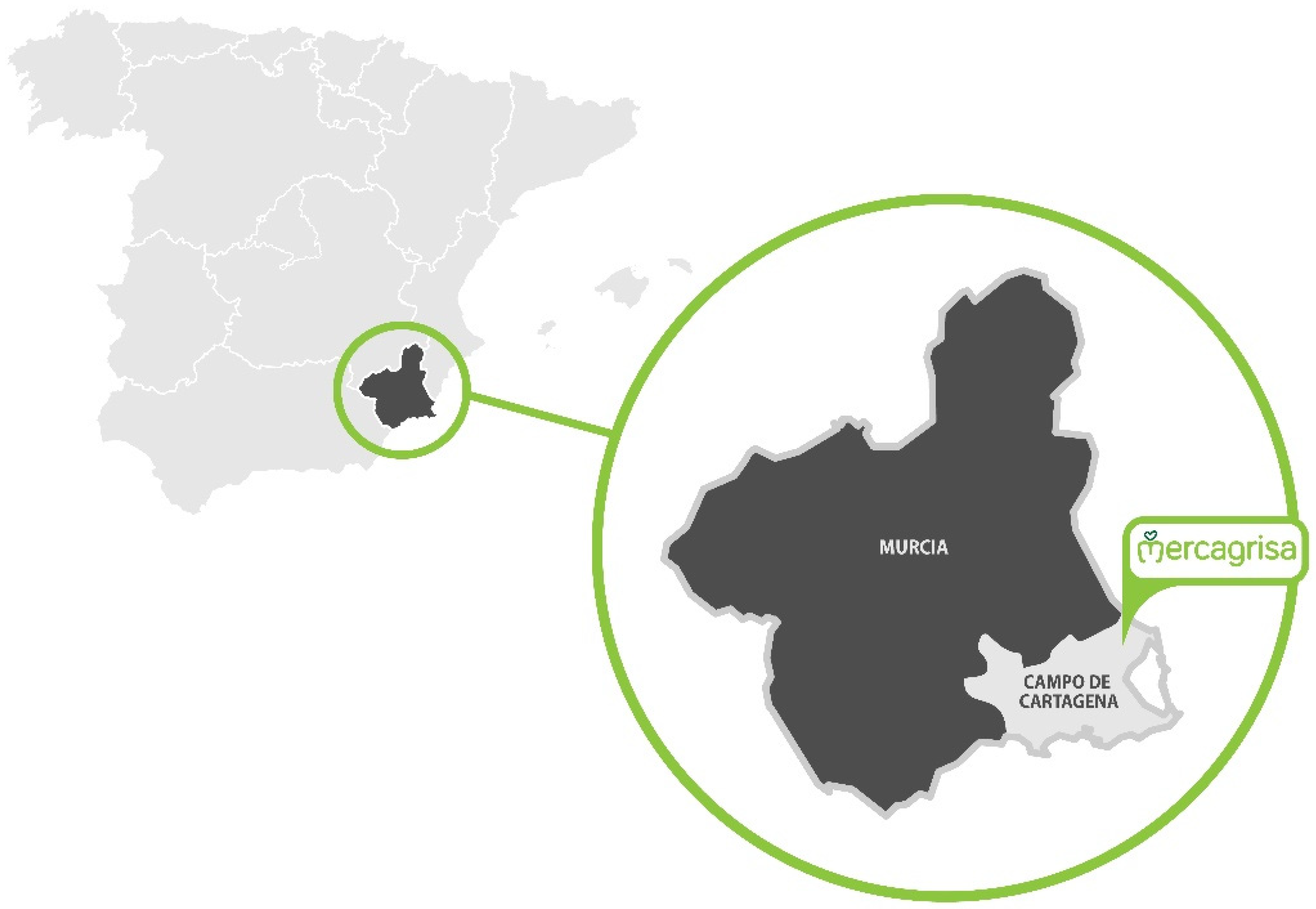 Agronomy 12 01254 g001