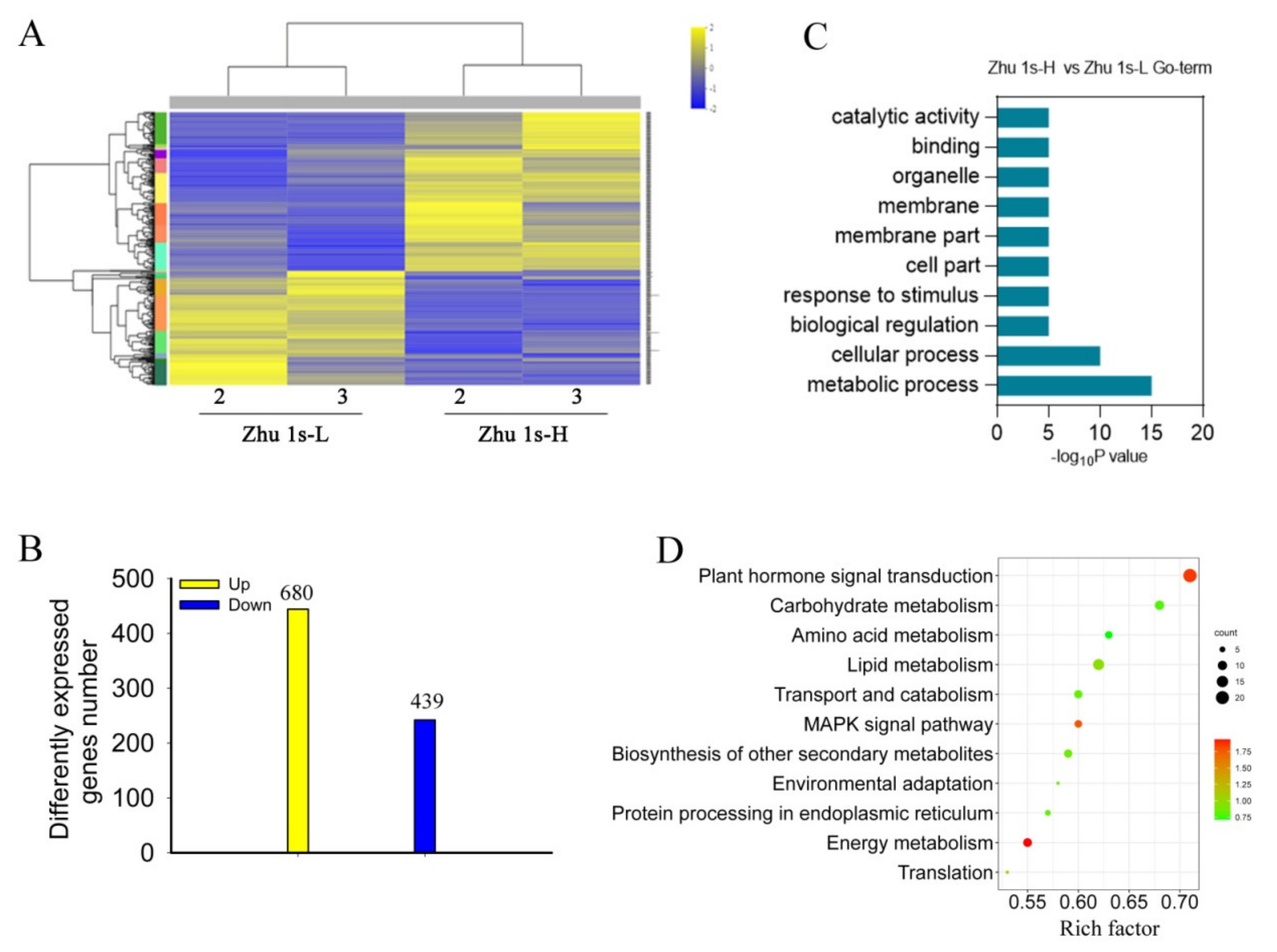 Agronomy 12 01255 g002