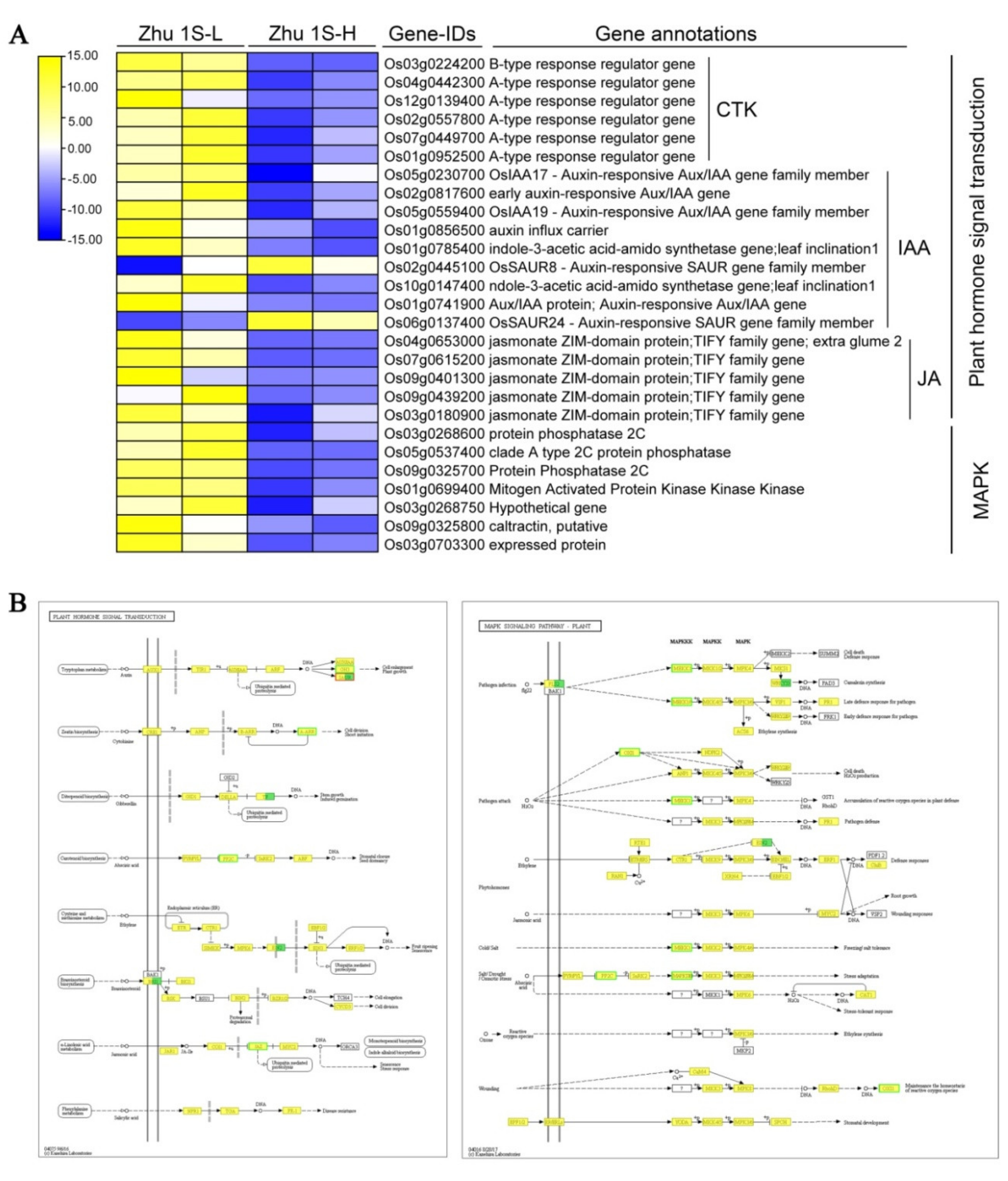 Agronomy 12 01255 g003