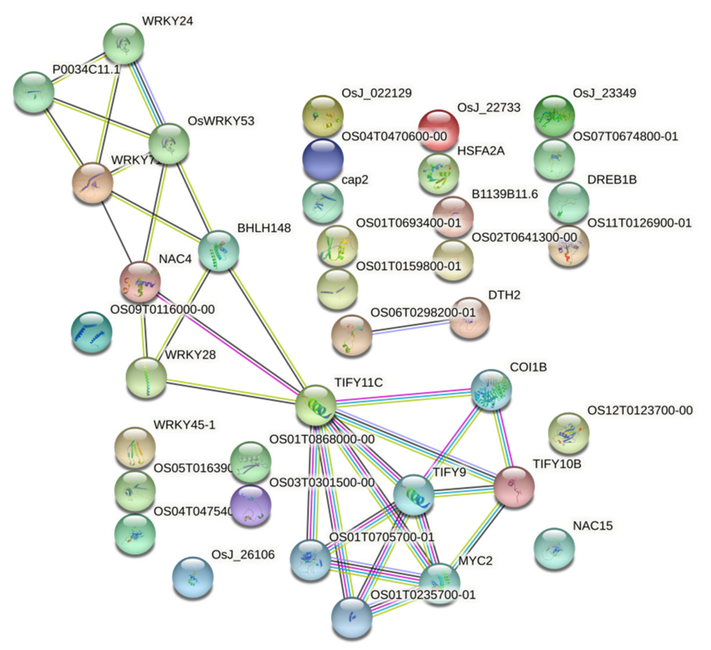 Agronomy 12 01255 g005
