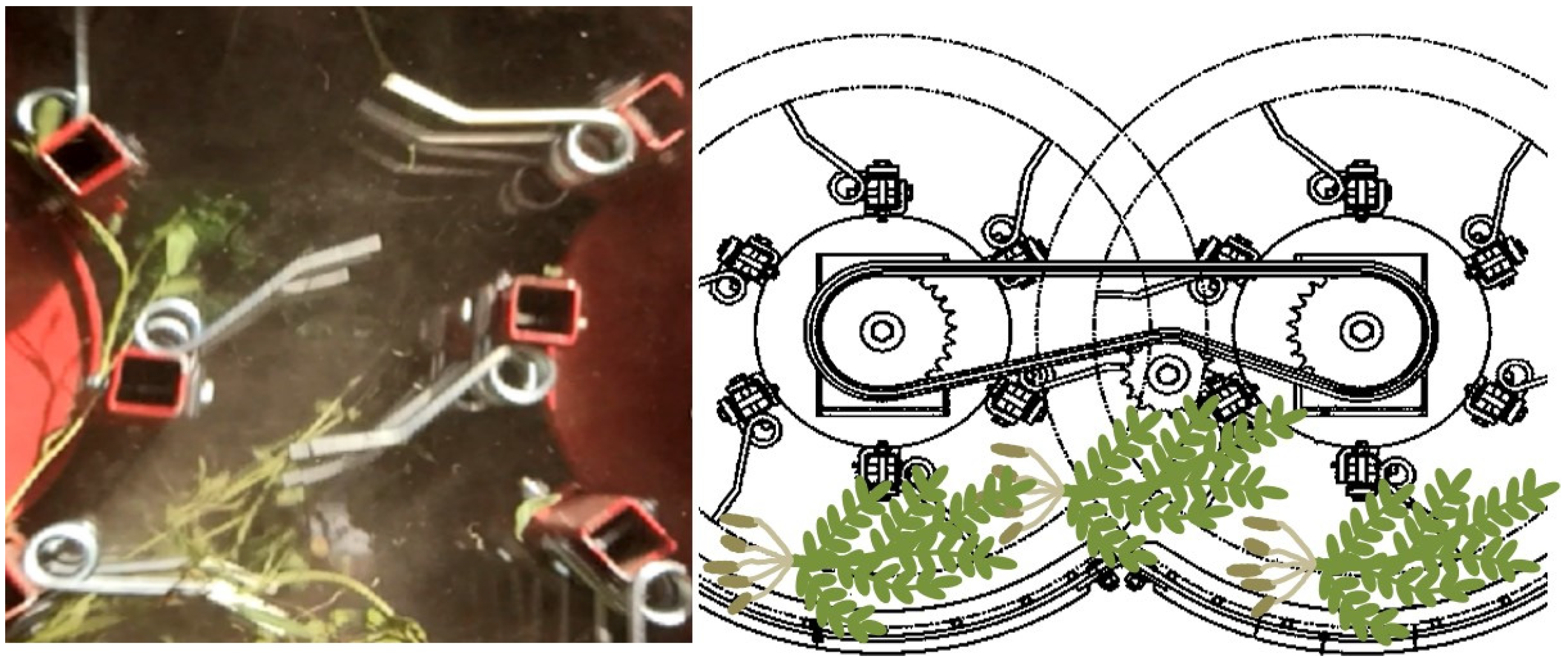 Agronomy 12 01256 g001