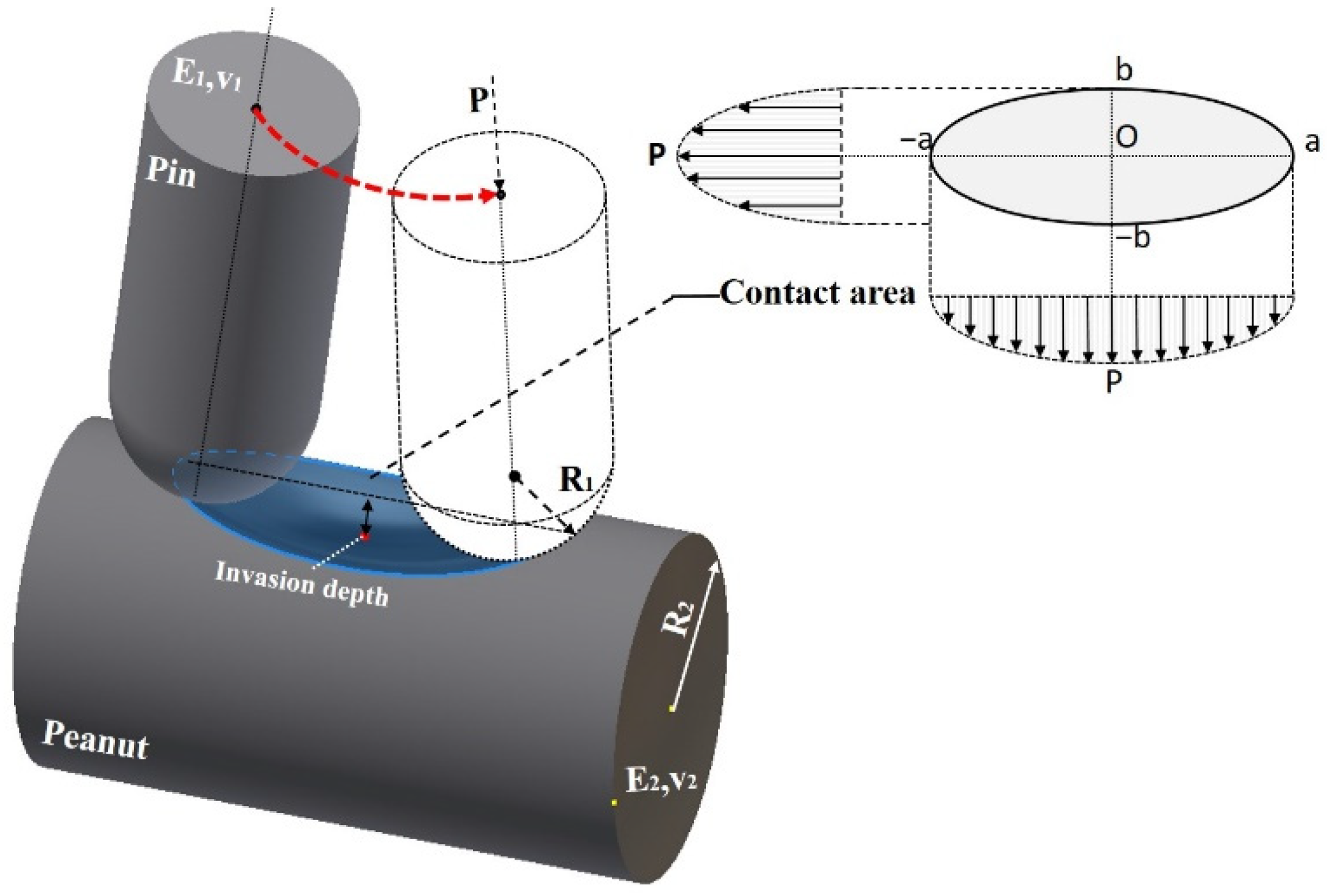 Agronomy 12 01256 g004