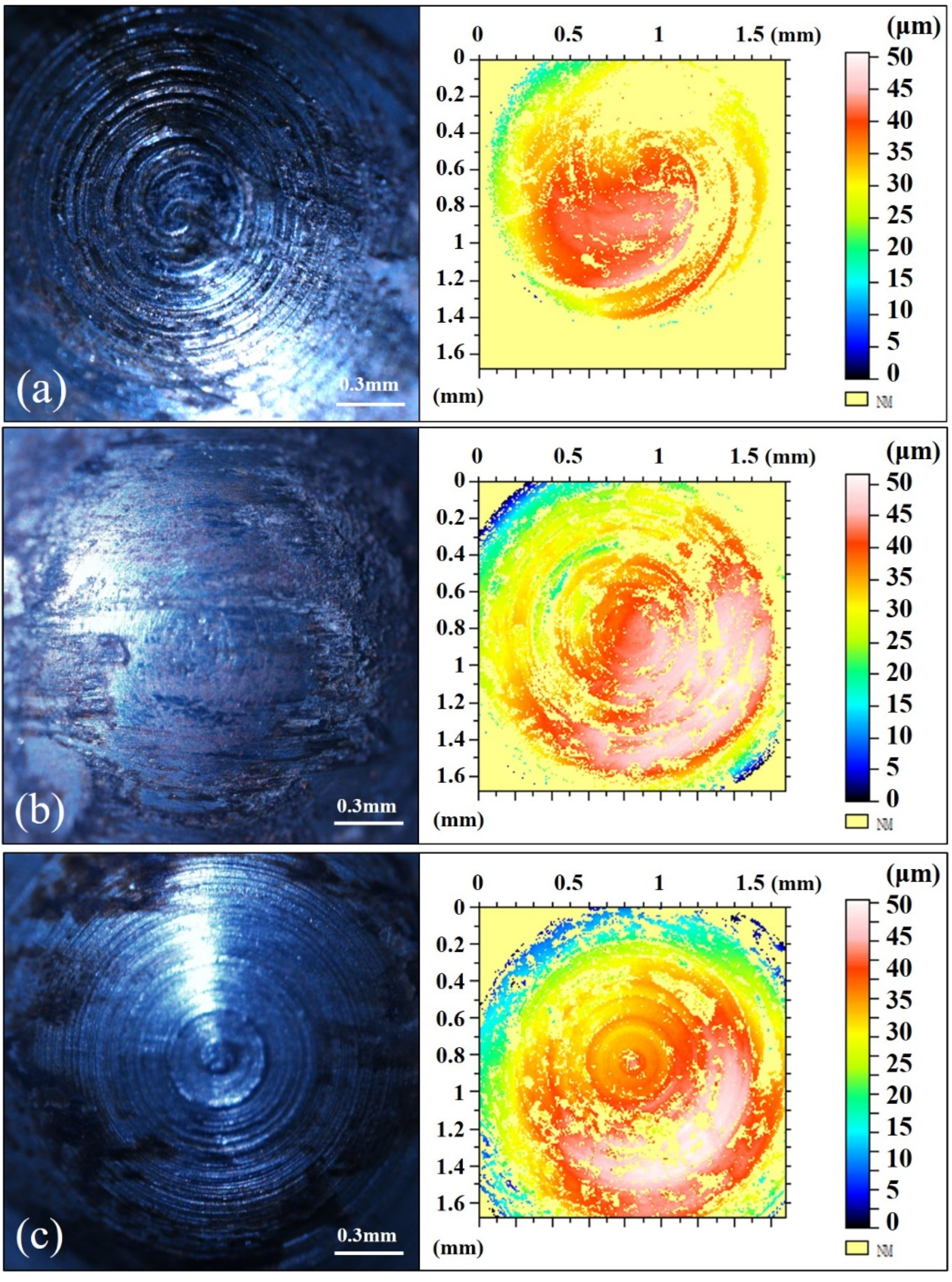 Agronomy 12 01256 g010