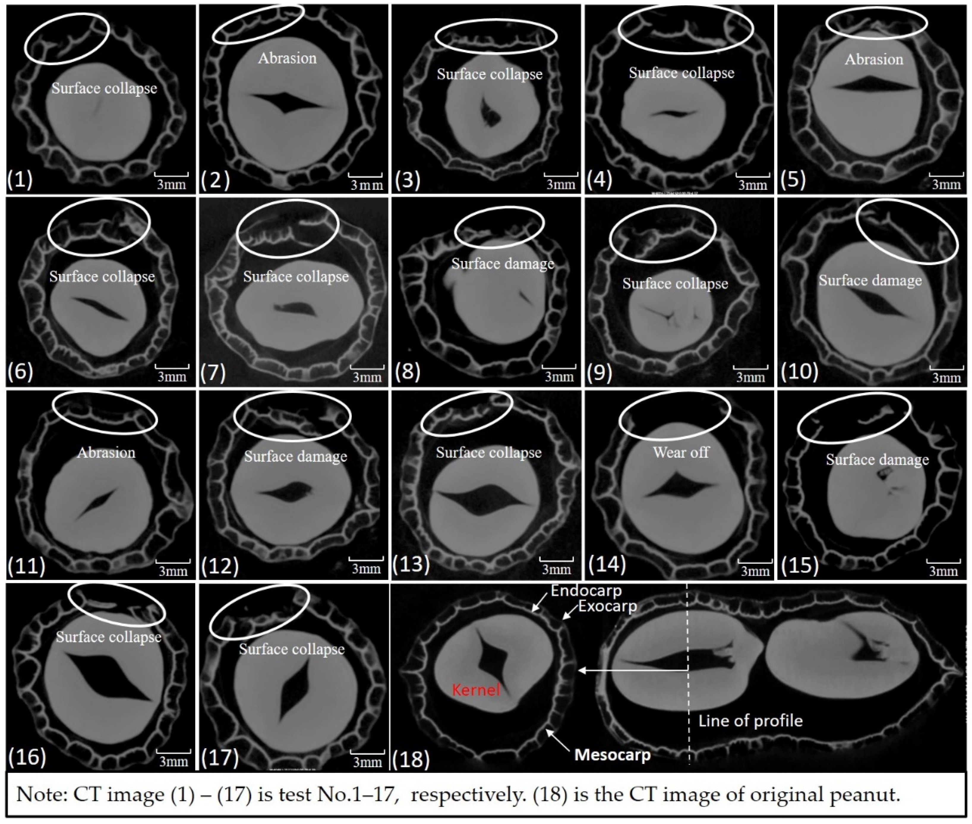 Agronomy 12 01256 g012