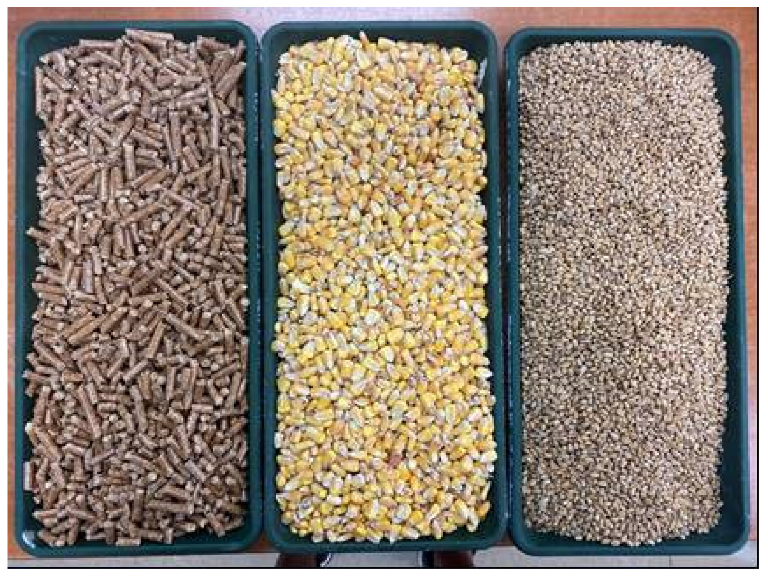 Agronomy 12 01261 g001 550