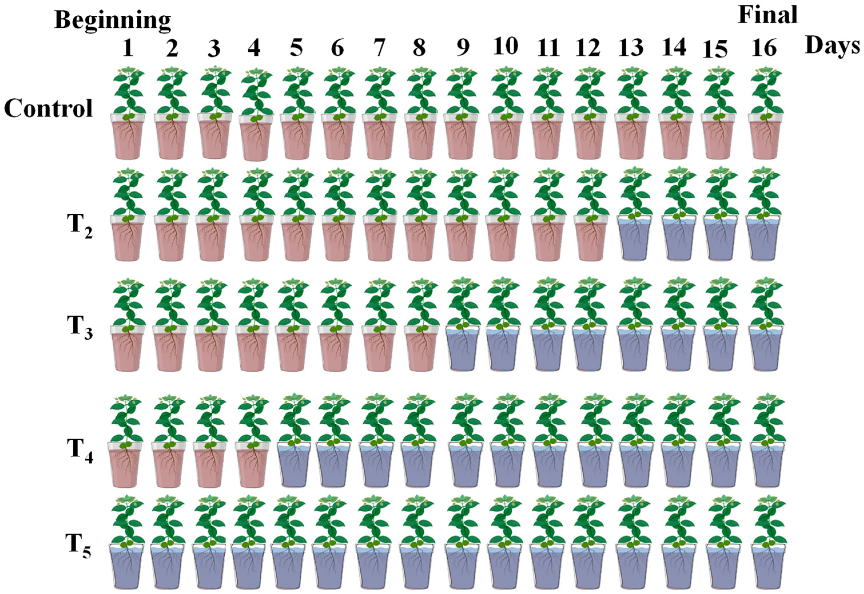 Agronomy 12 01270 g002