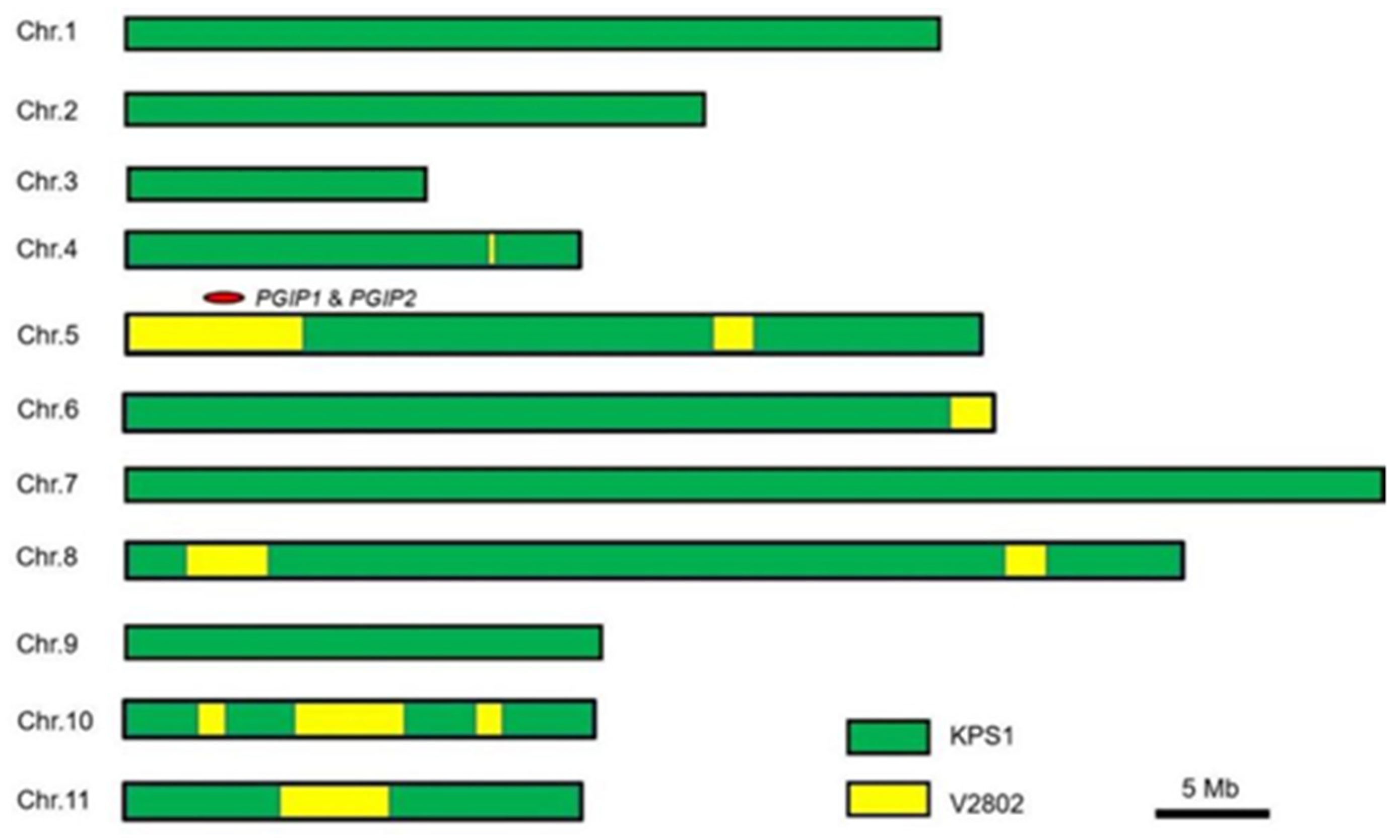 Agronomy 12 01271 g005