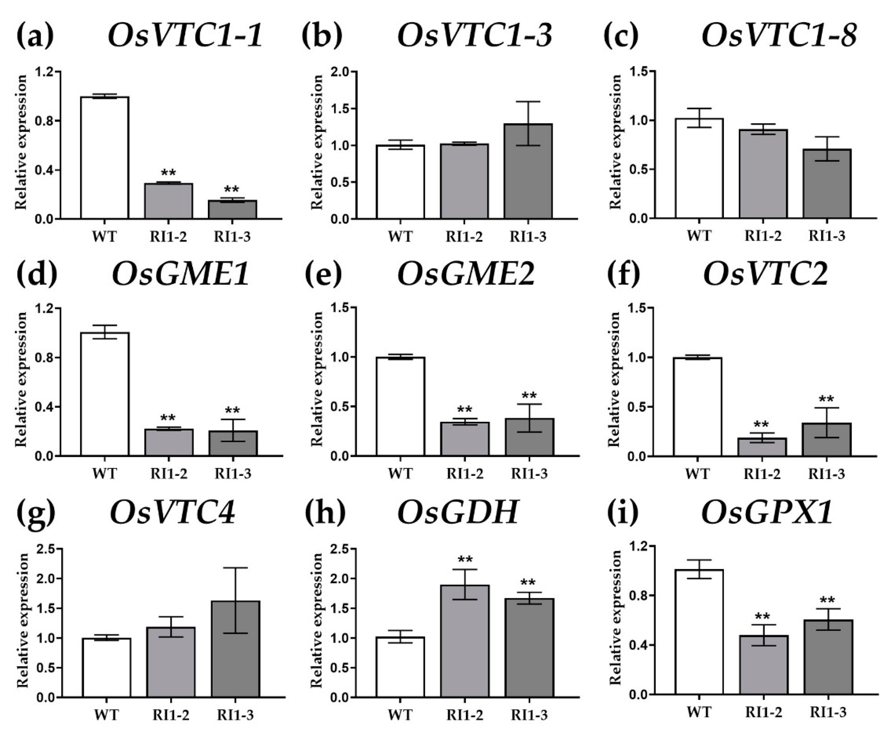 Agronomy 12 01272 g001