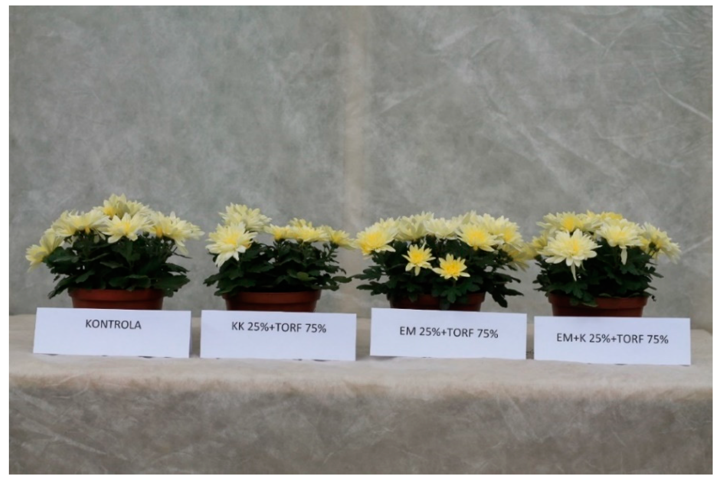 Agronomy 12 01274 g003 Agronomy 12 01274 g003