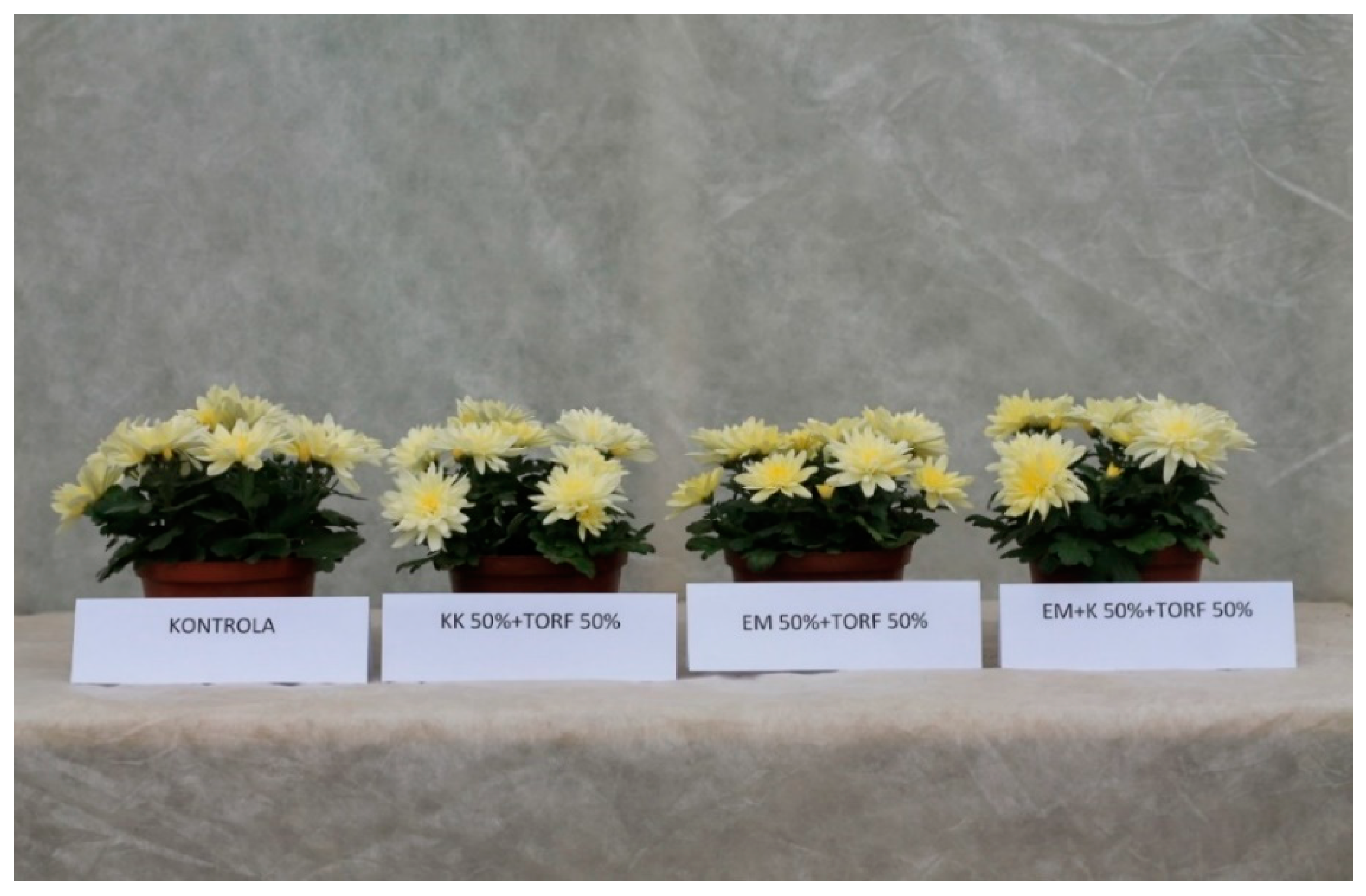 Agronomy 12 01274 g004 Agronomy 12 01274 g004