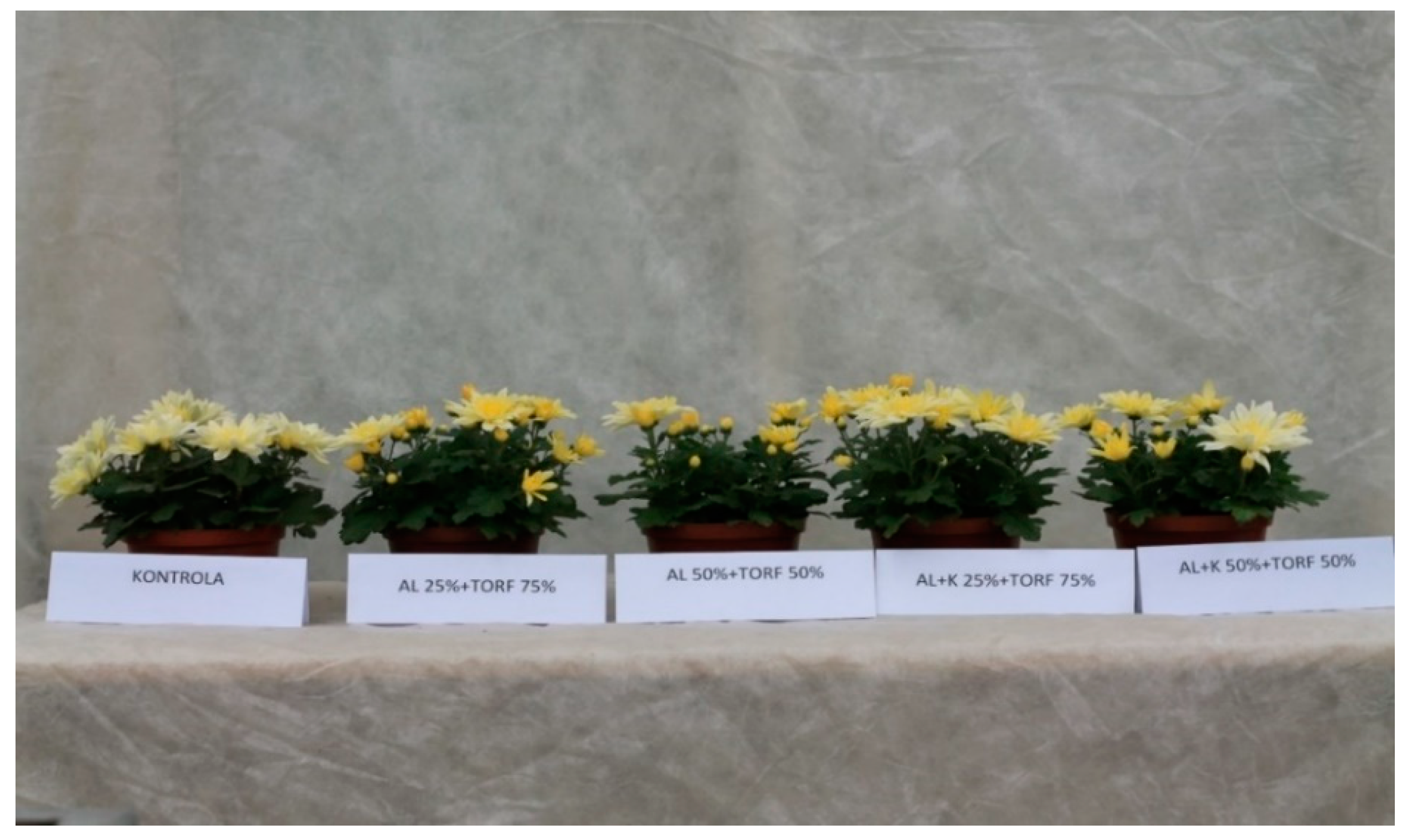 Agronomy 12 01274 g005 Agronomy 12 01274 g005