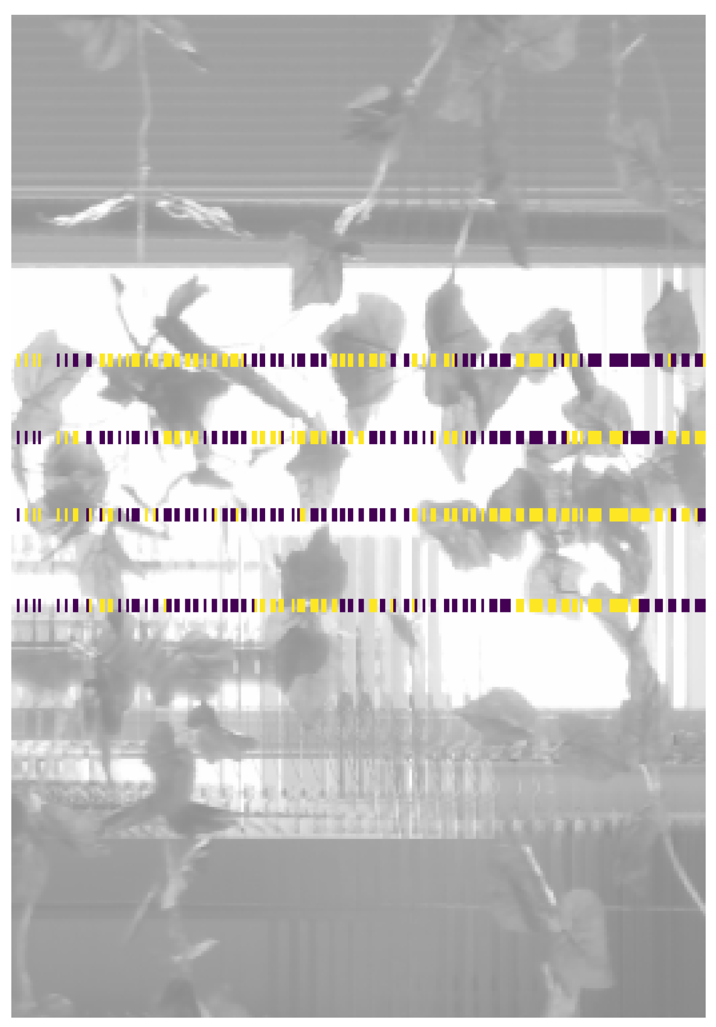 Agronomy 12 01276 g004 550