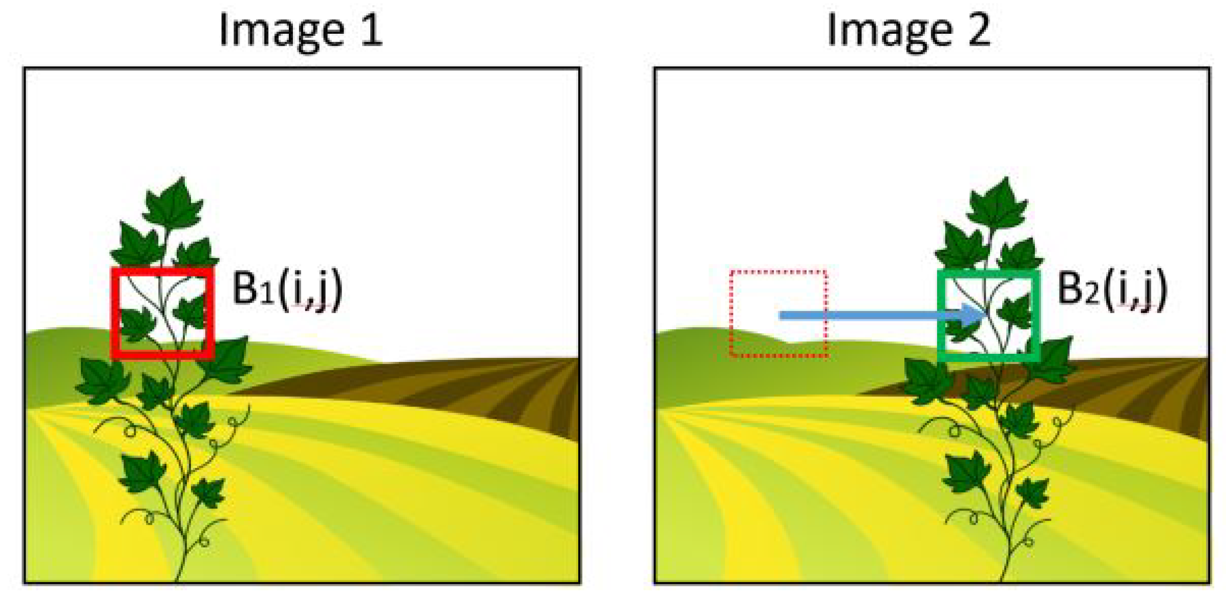 Agronomy 12 01276 g011 550