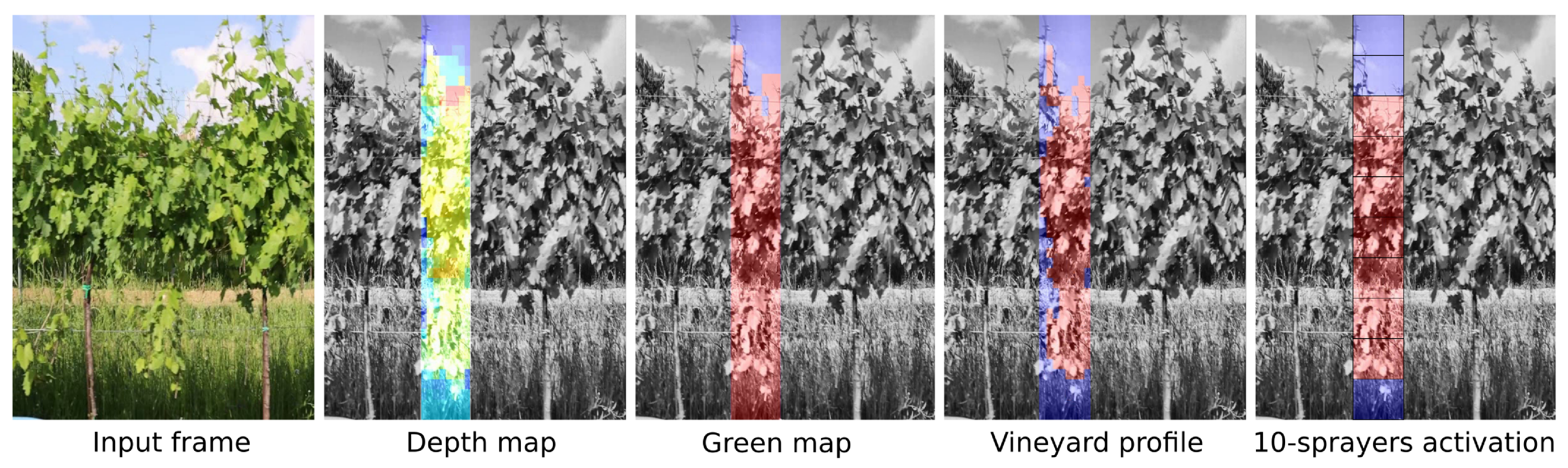 Agronomy 12 01276 g016 550