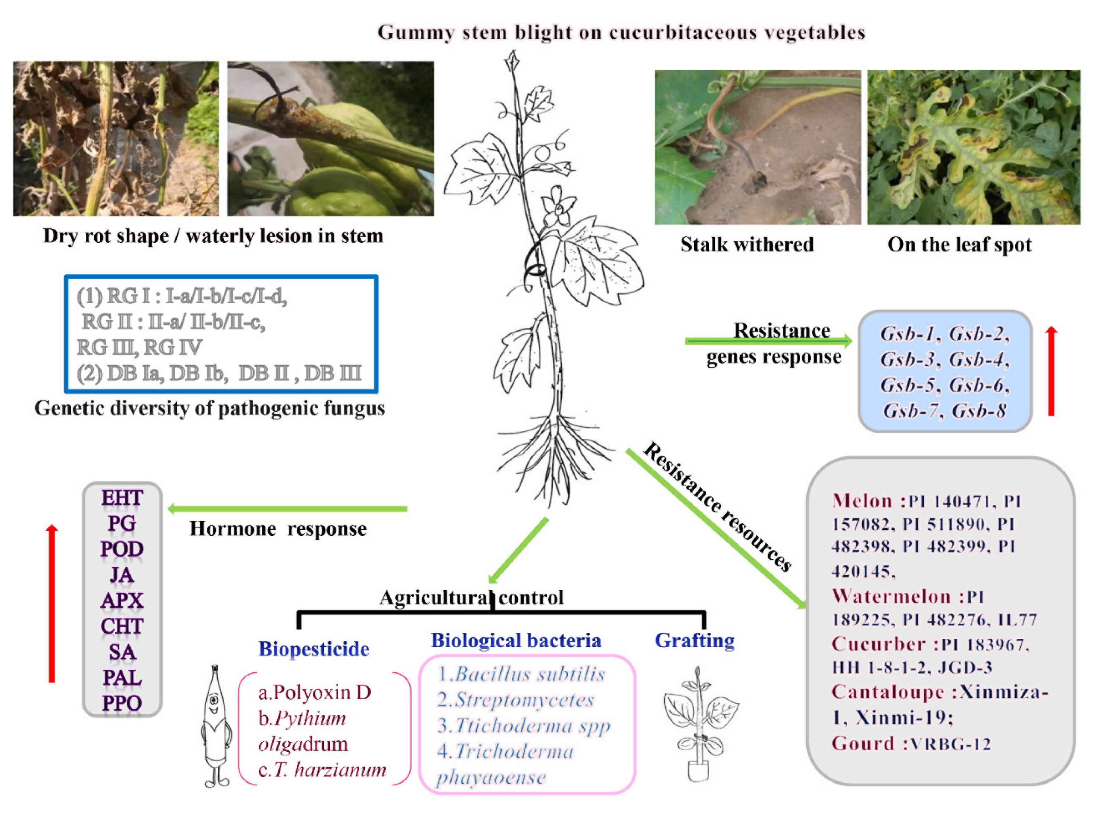 Agronomy 12 01283 g001