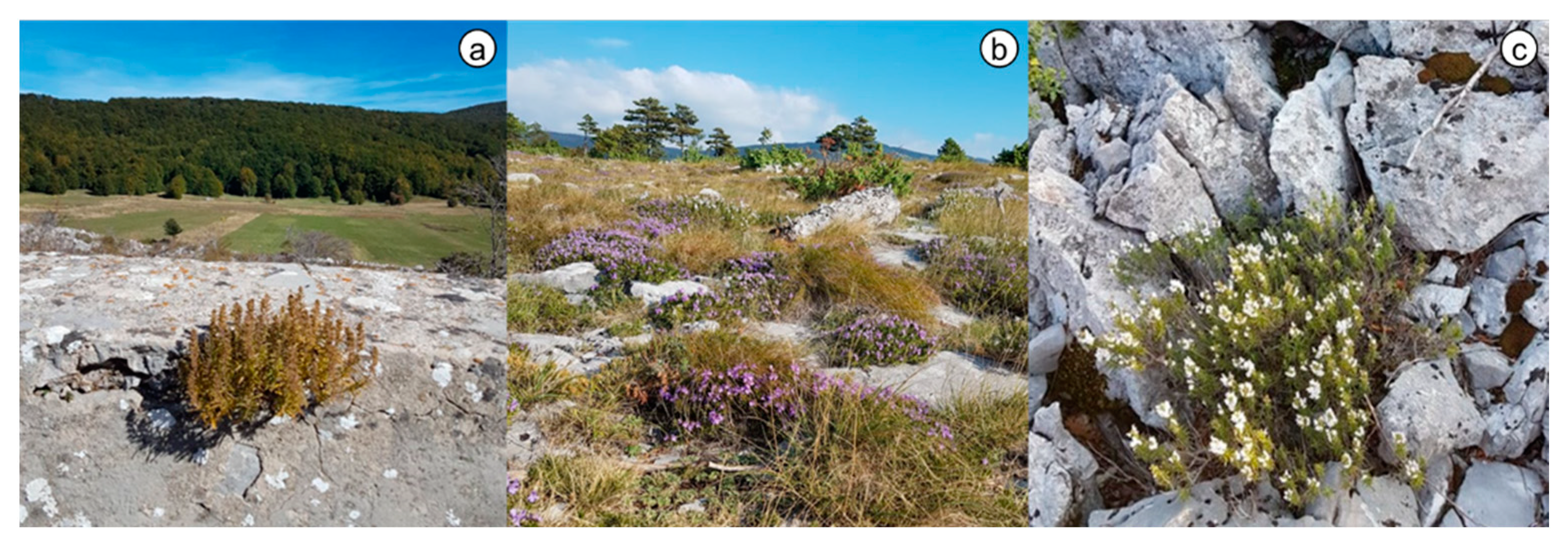 Agronomy 12 01288 g001 Agronomy 12 01288 g001