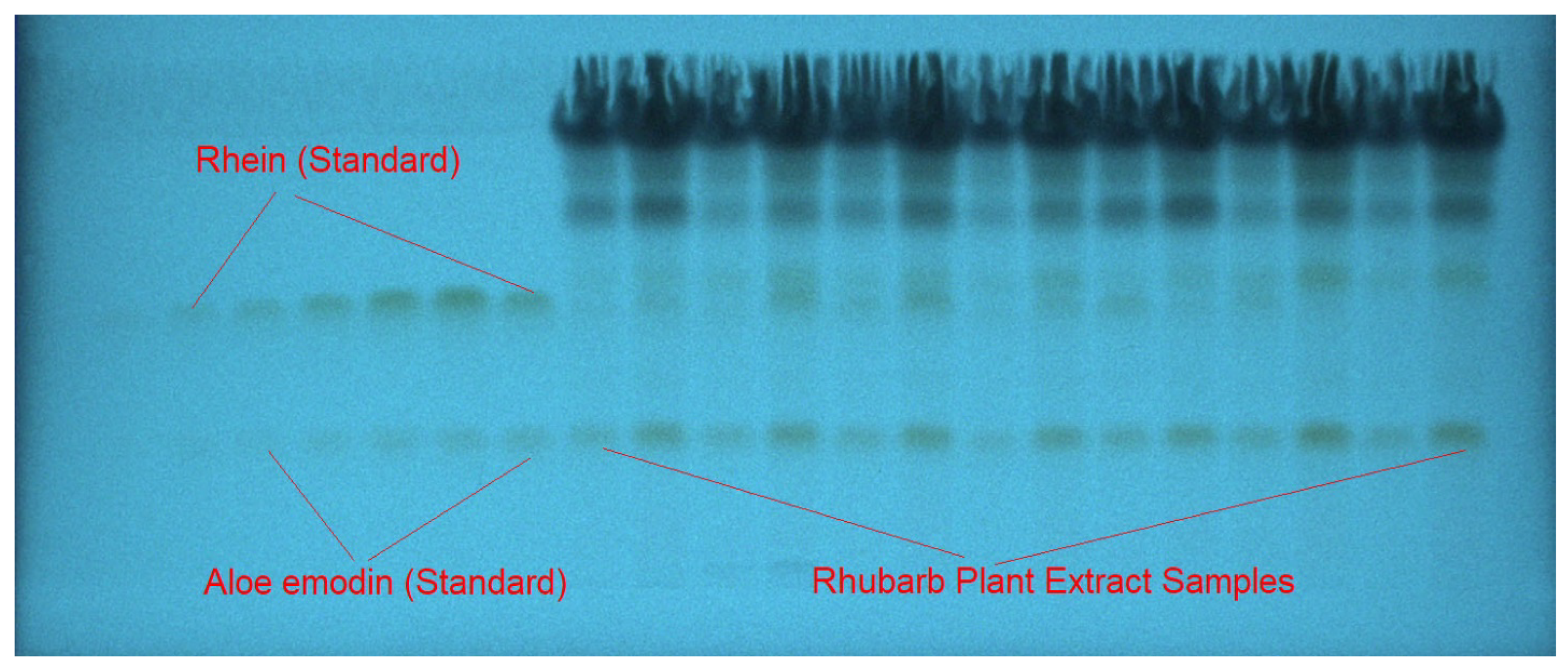 Agronomy 12 01295 g003 Agronomy 12 01295 g003