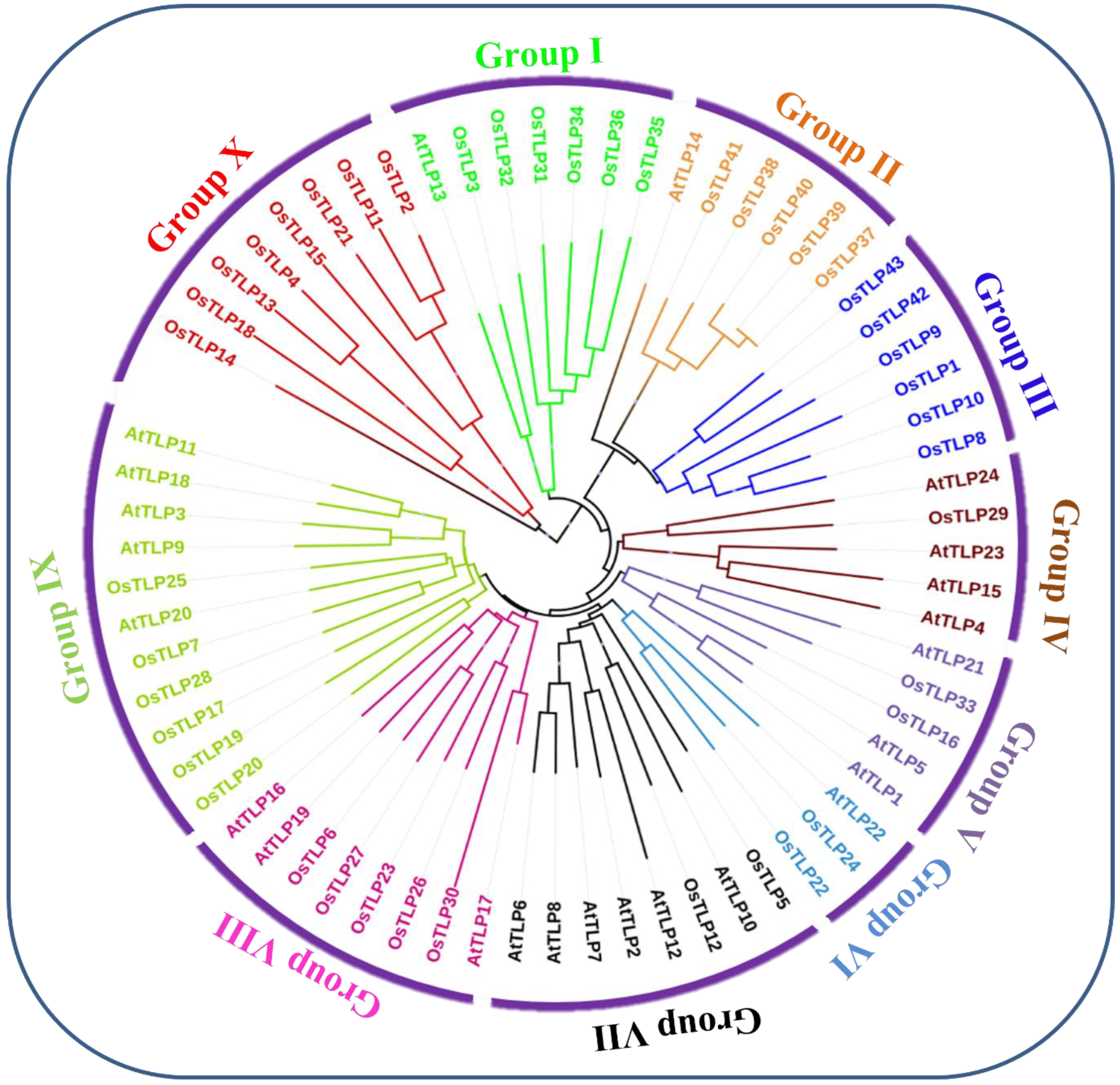 Agronomy 12 01297 g001