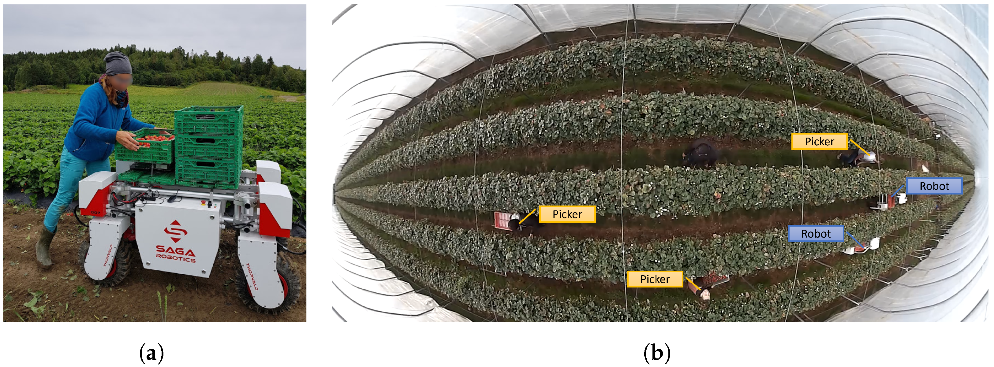 Agronomy 12 01299 g001