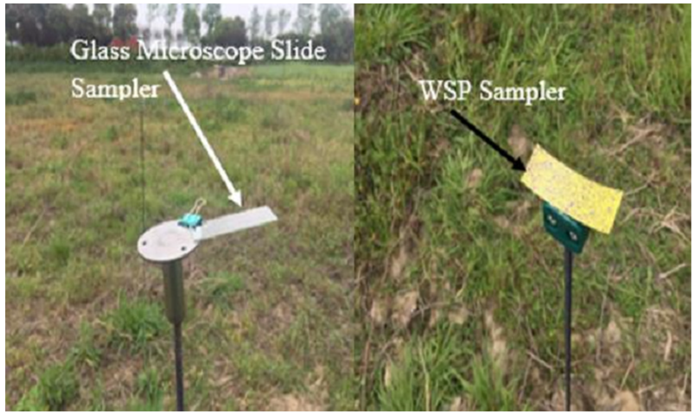 Agronomy 12 01302 g002