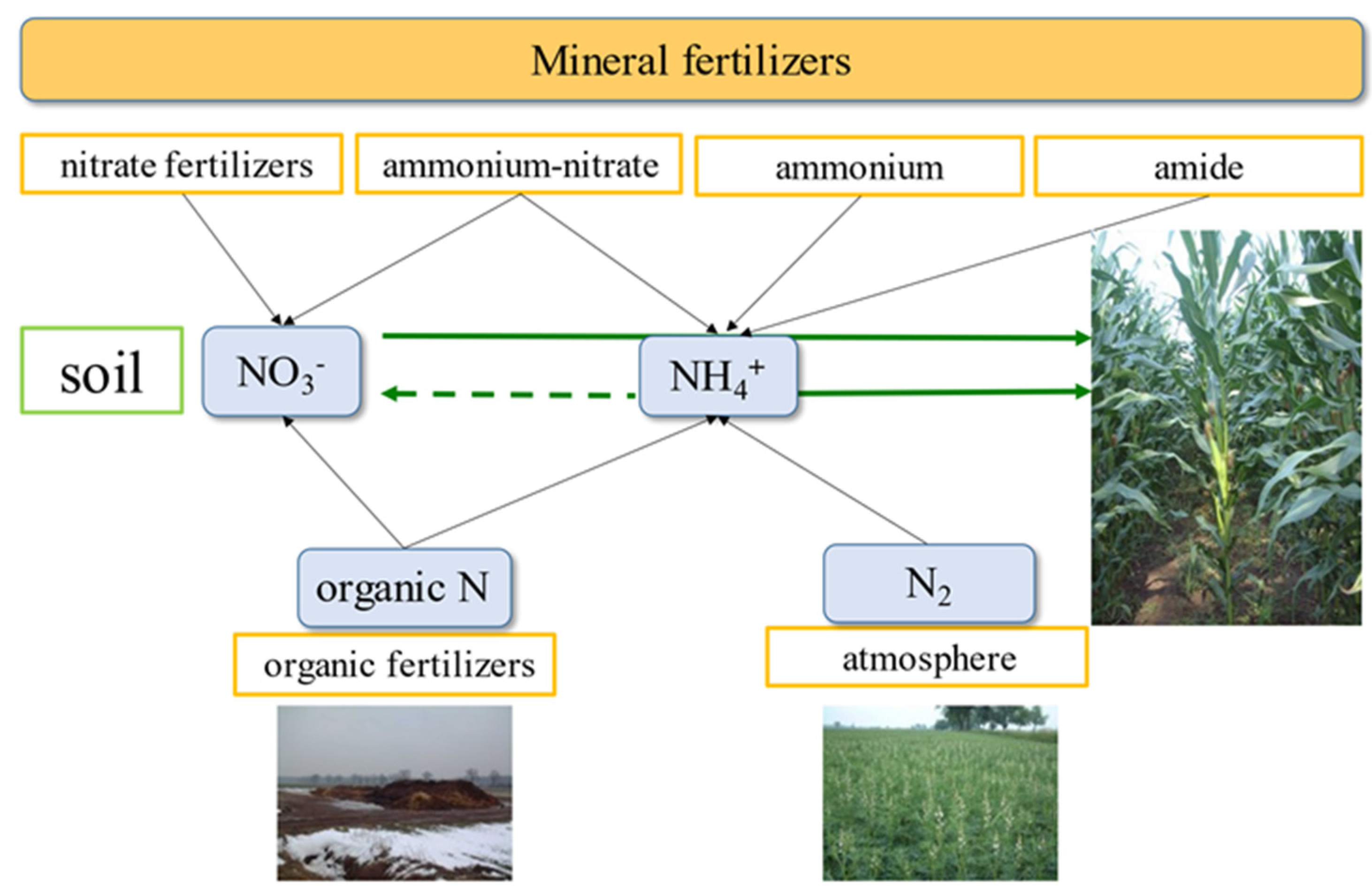 Agronomy 12 01305 g001 550