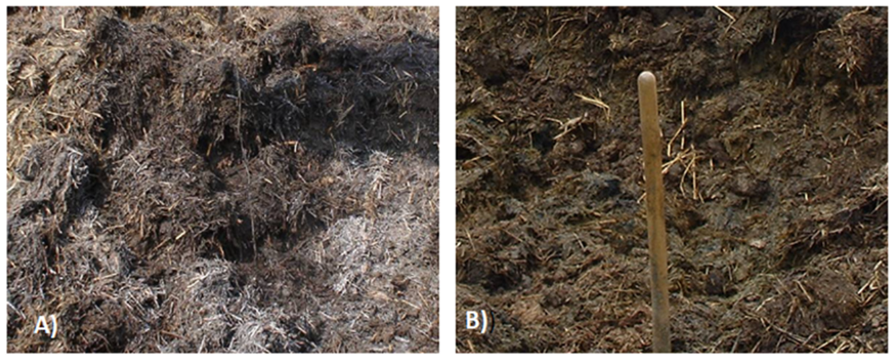Agronomy 12 01305 sch001 550