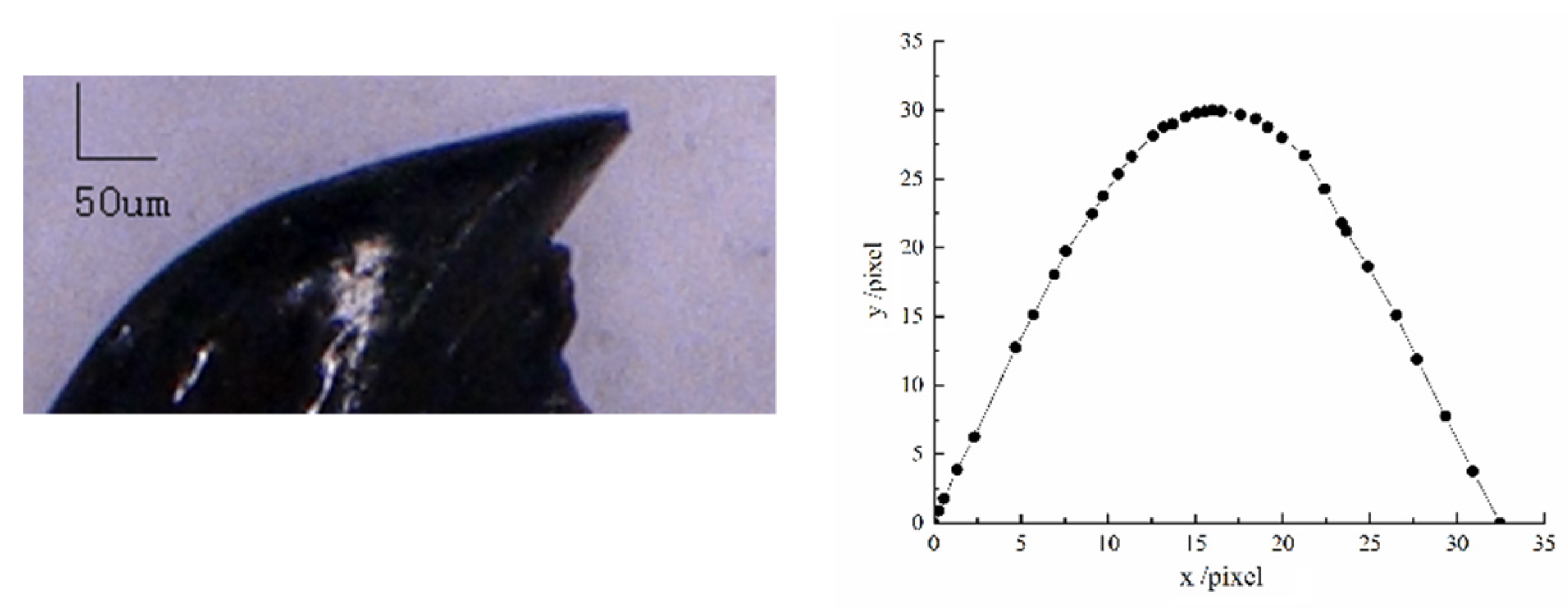 Agronomy 12 01309 g003 550