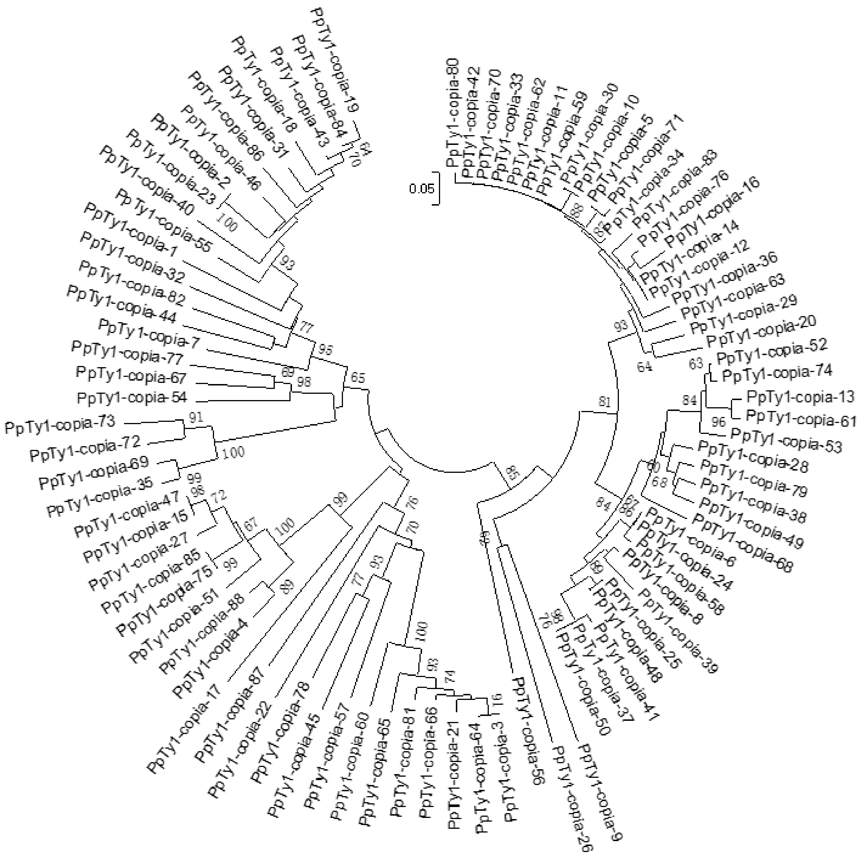 Agronomy 12 01312 g001 550