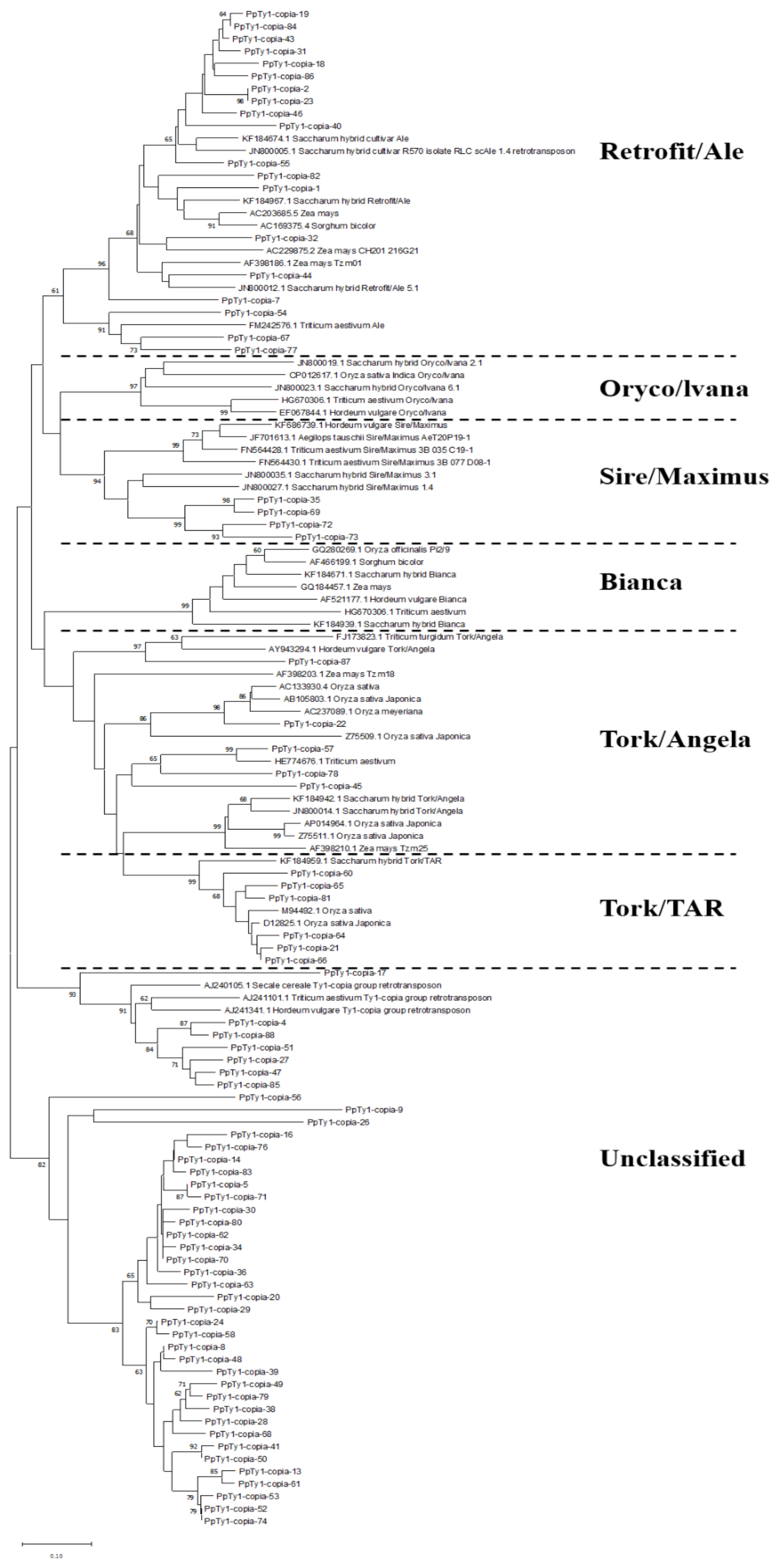 Agronomy 12 01312 g002 550