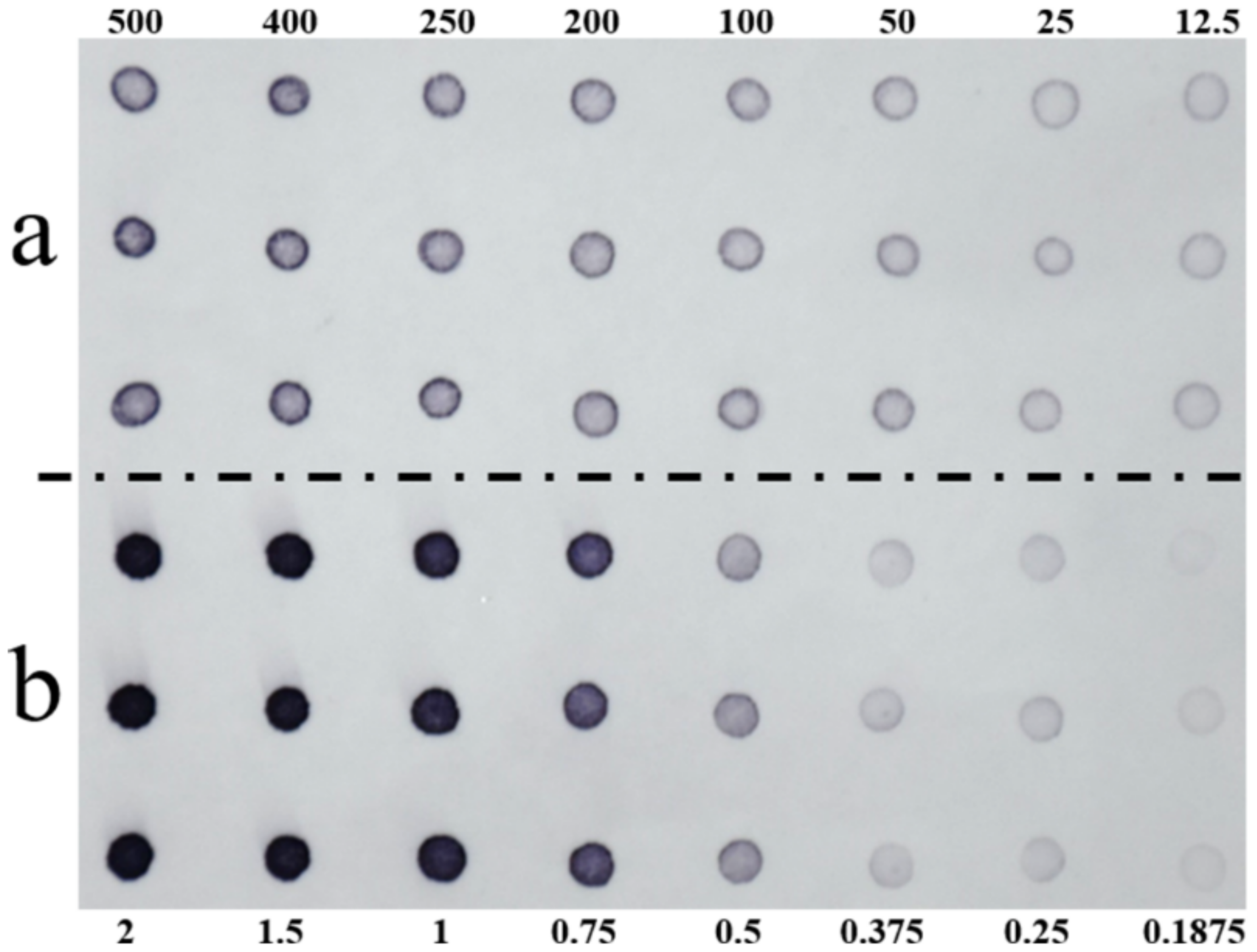 Agronomy 12 01312 g003 550