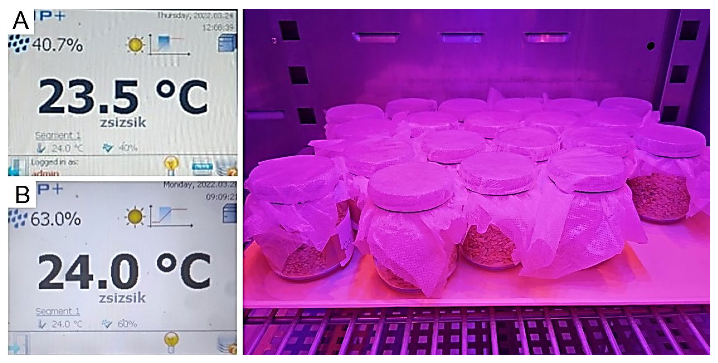 Agronomy 12 01313 g001