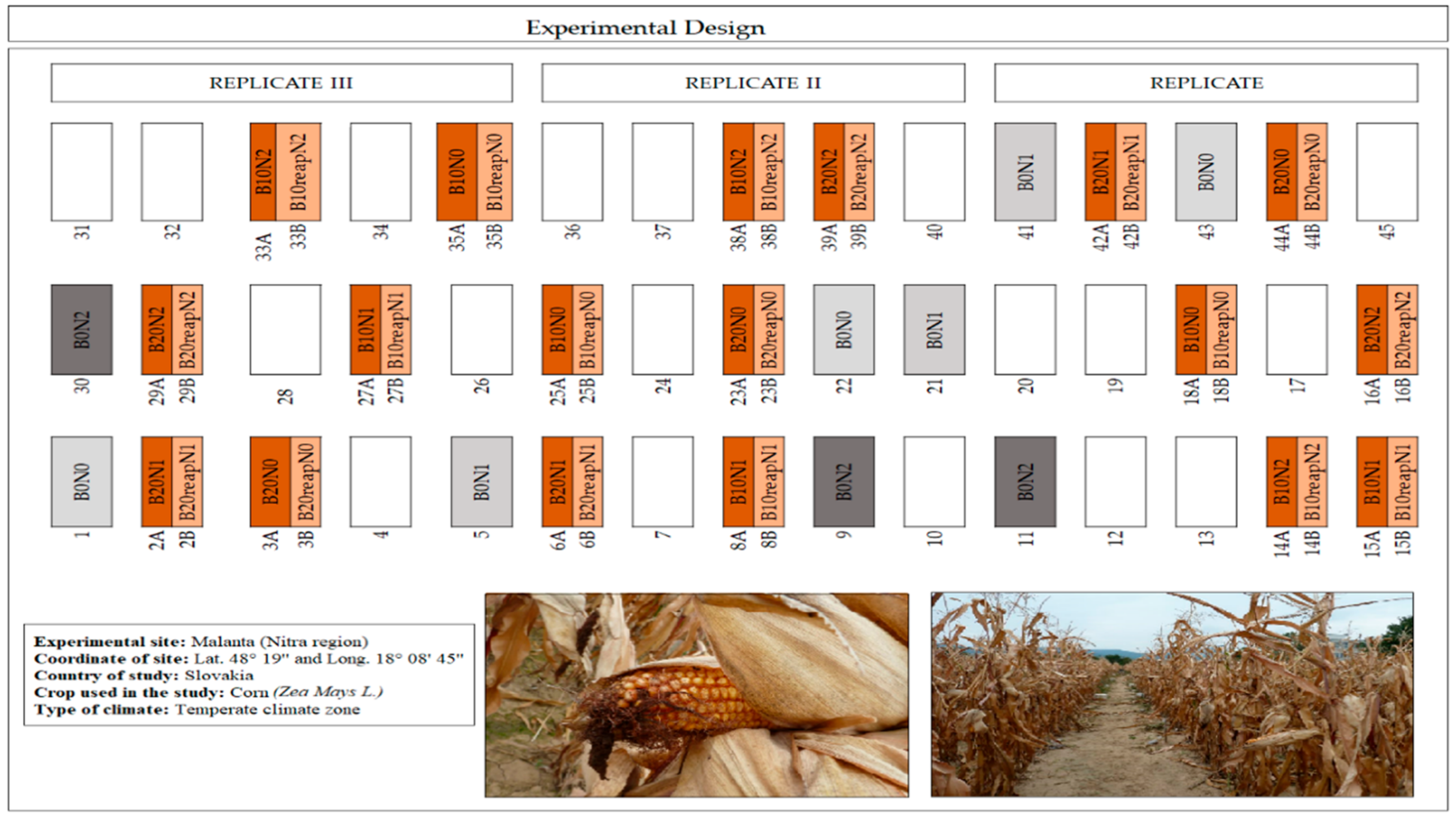 Agronomy 12 01314 g001